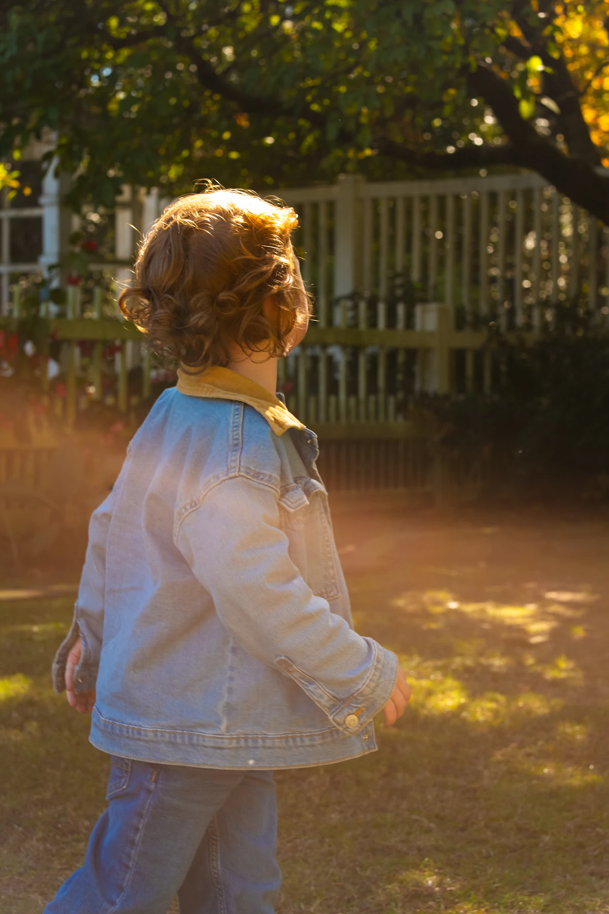 Family photography, Phoenix and Scottsdale