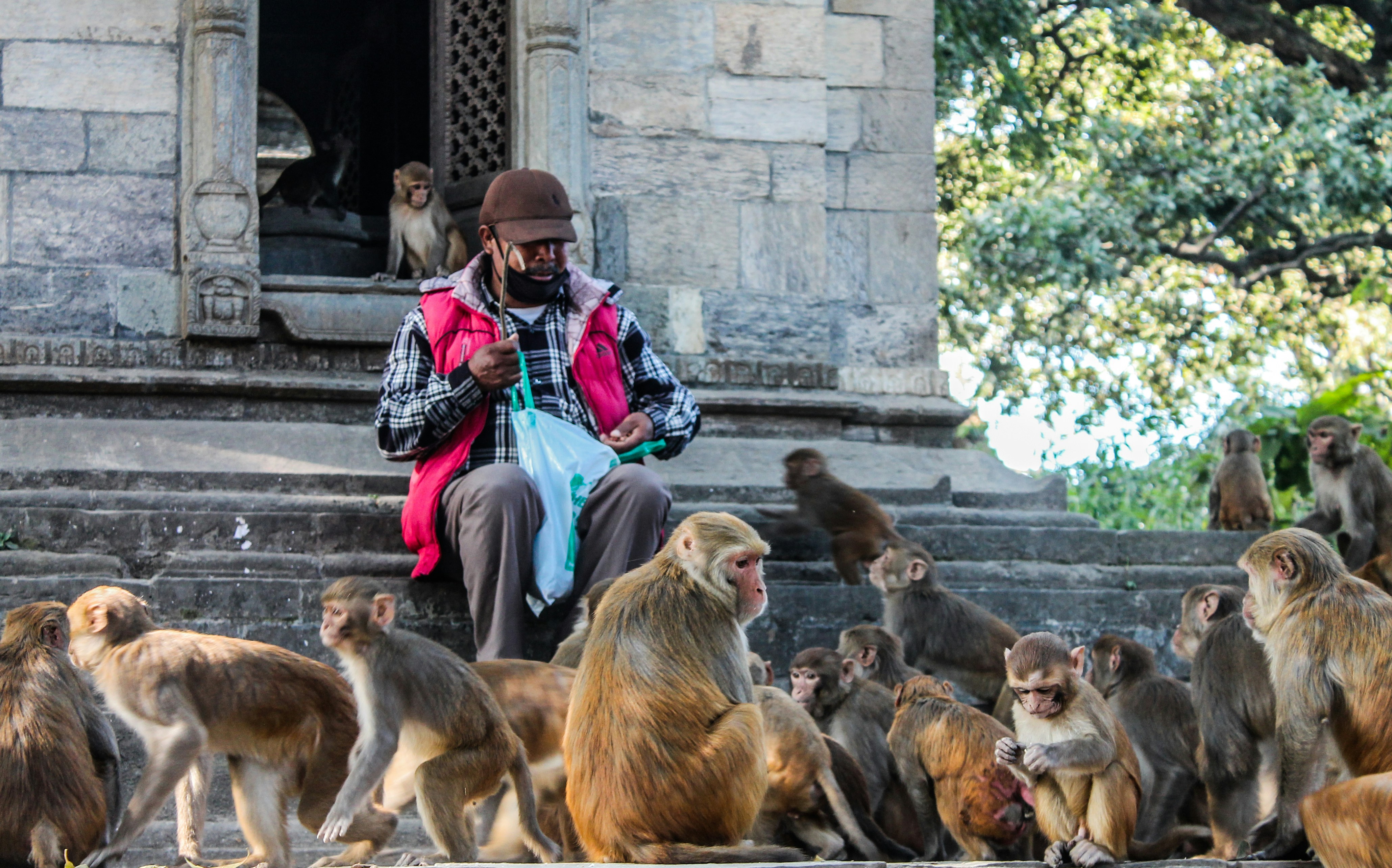 Description of the image