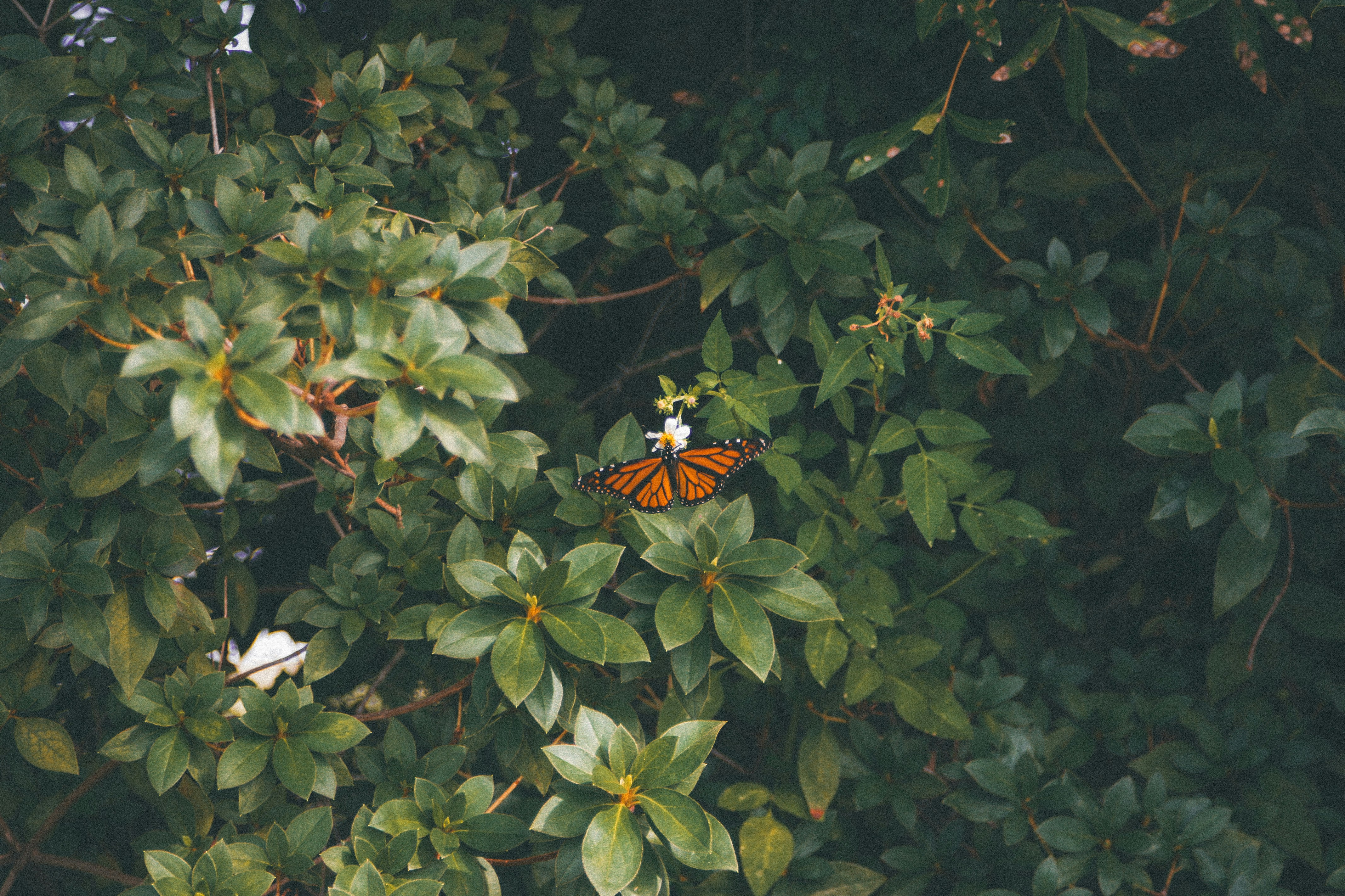 Photo by micah_avery