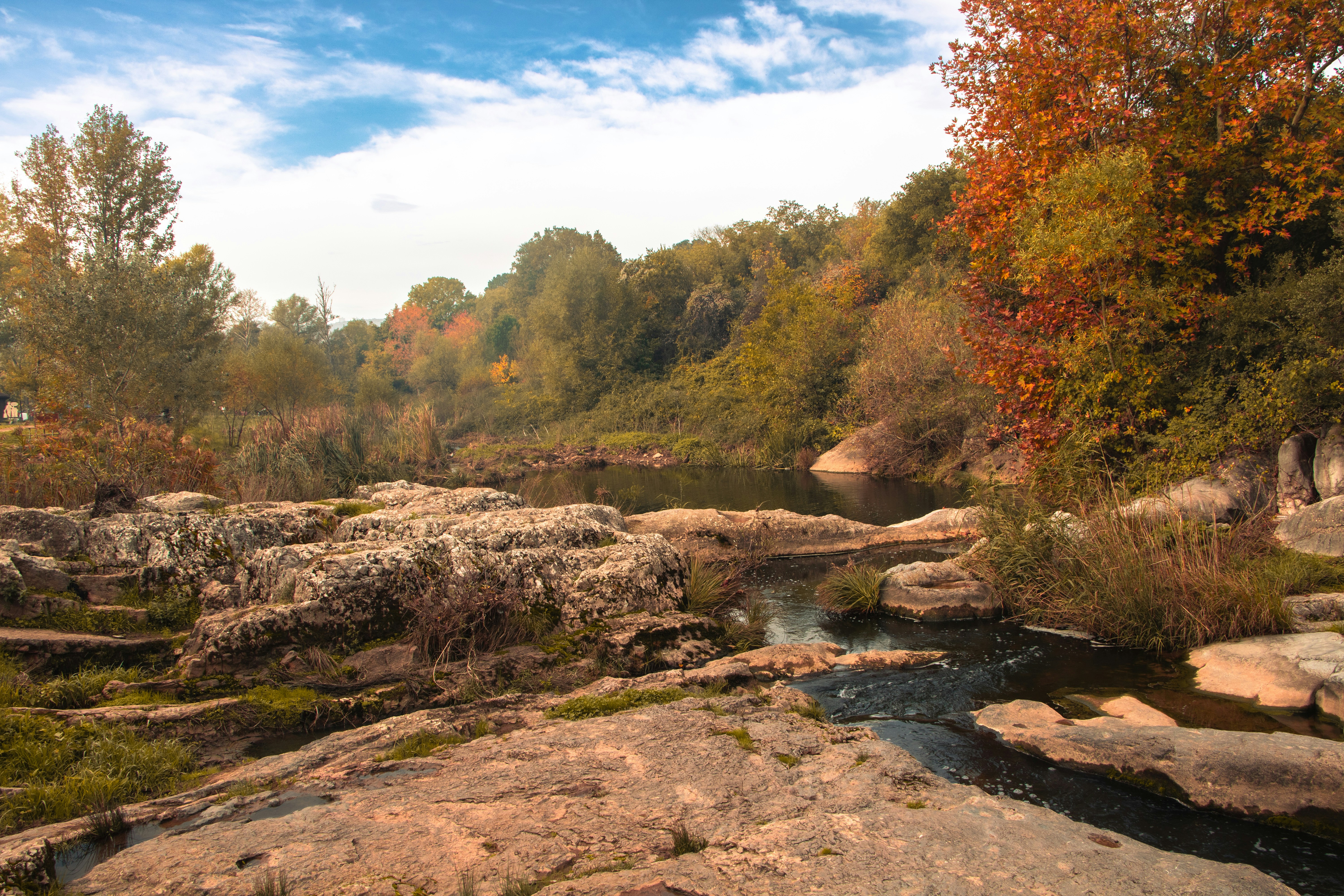 秋の木々と青空のある岩だらけの川岸