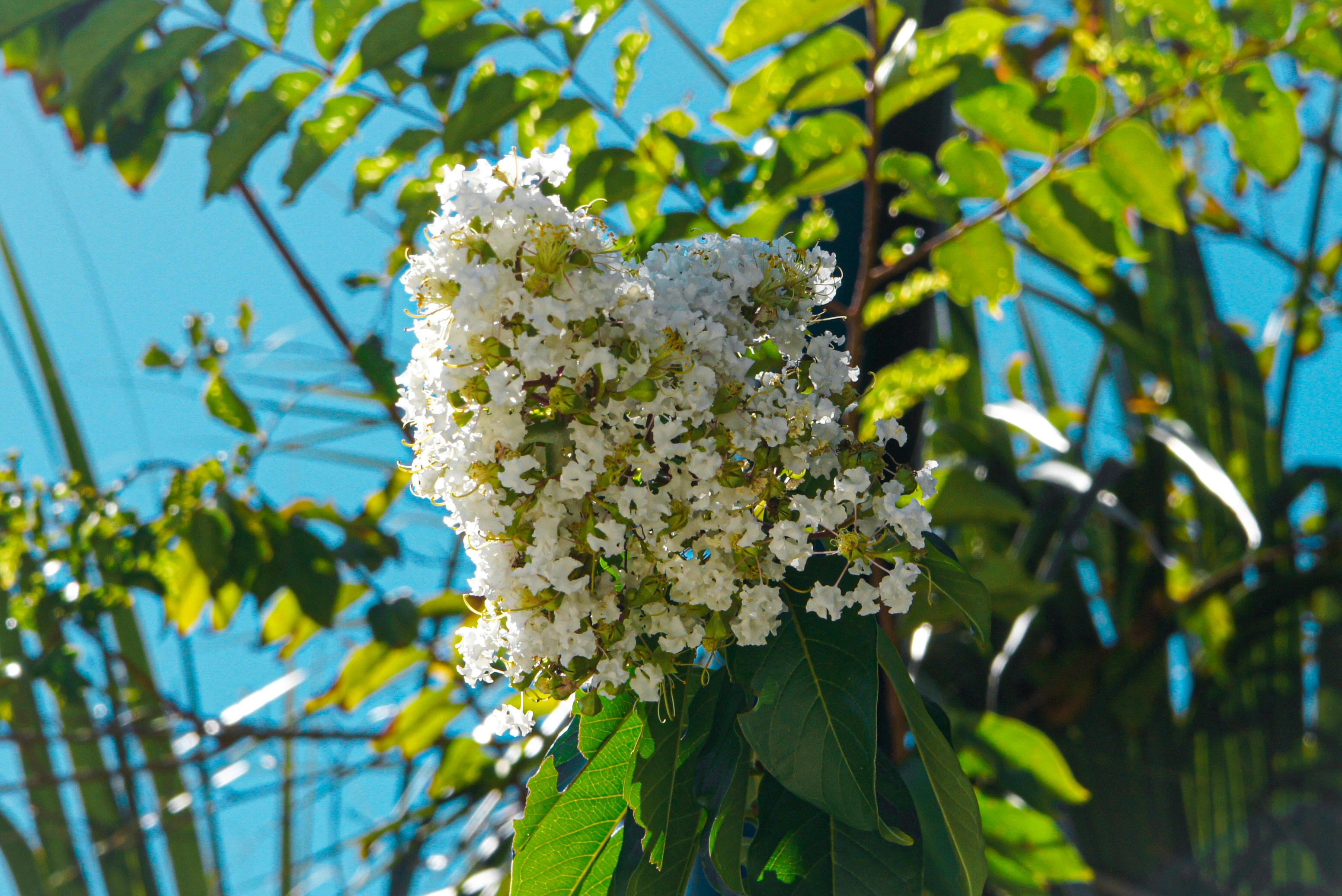 Photo by micah_avery