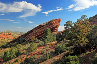 Red rock formations and green trees under blue sky.
