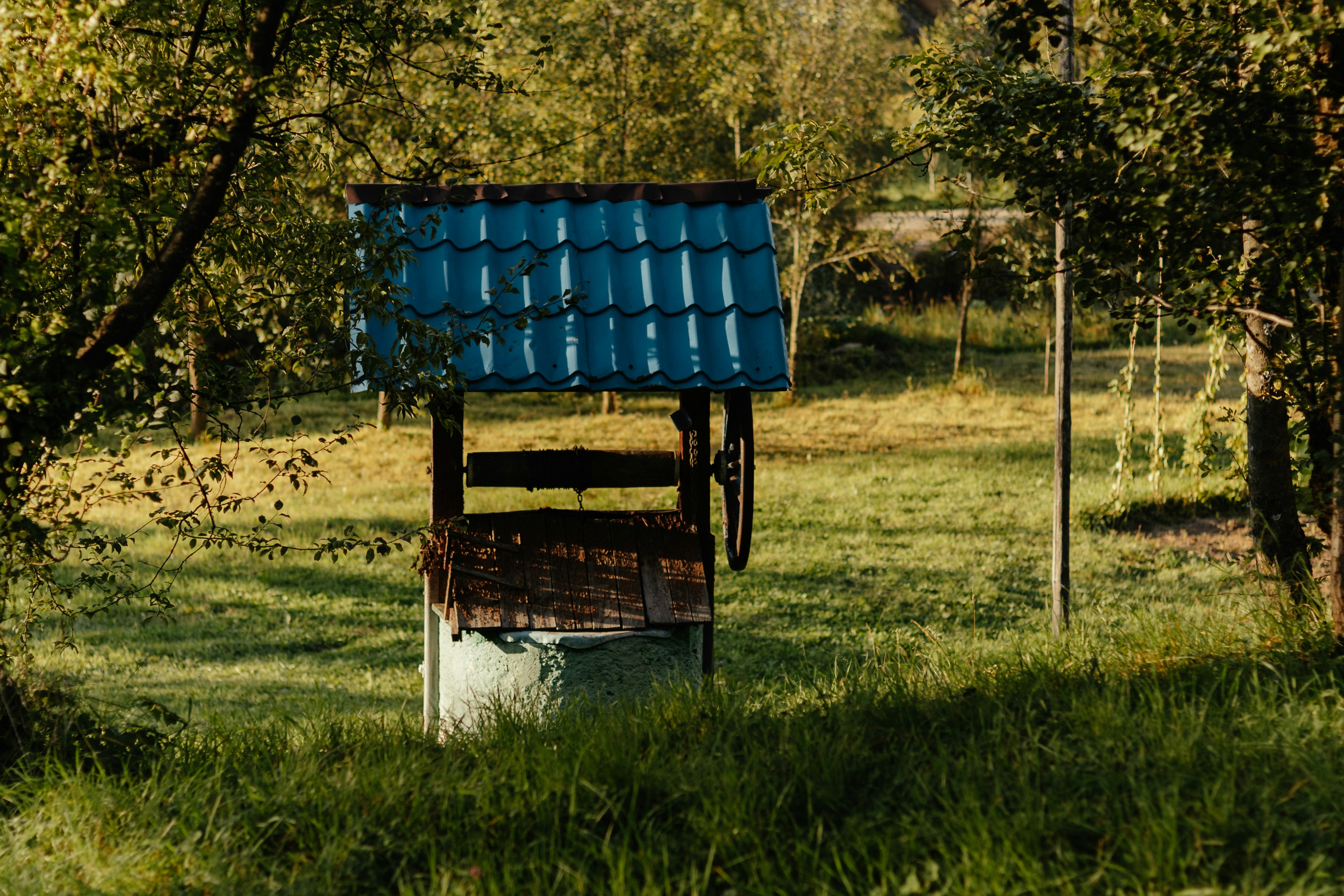 Old wooden well with blue roof in grassy yard.