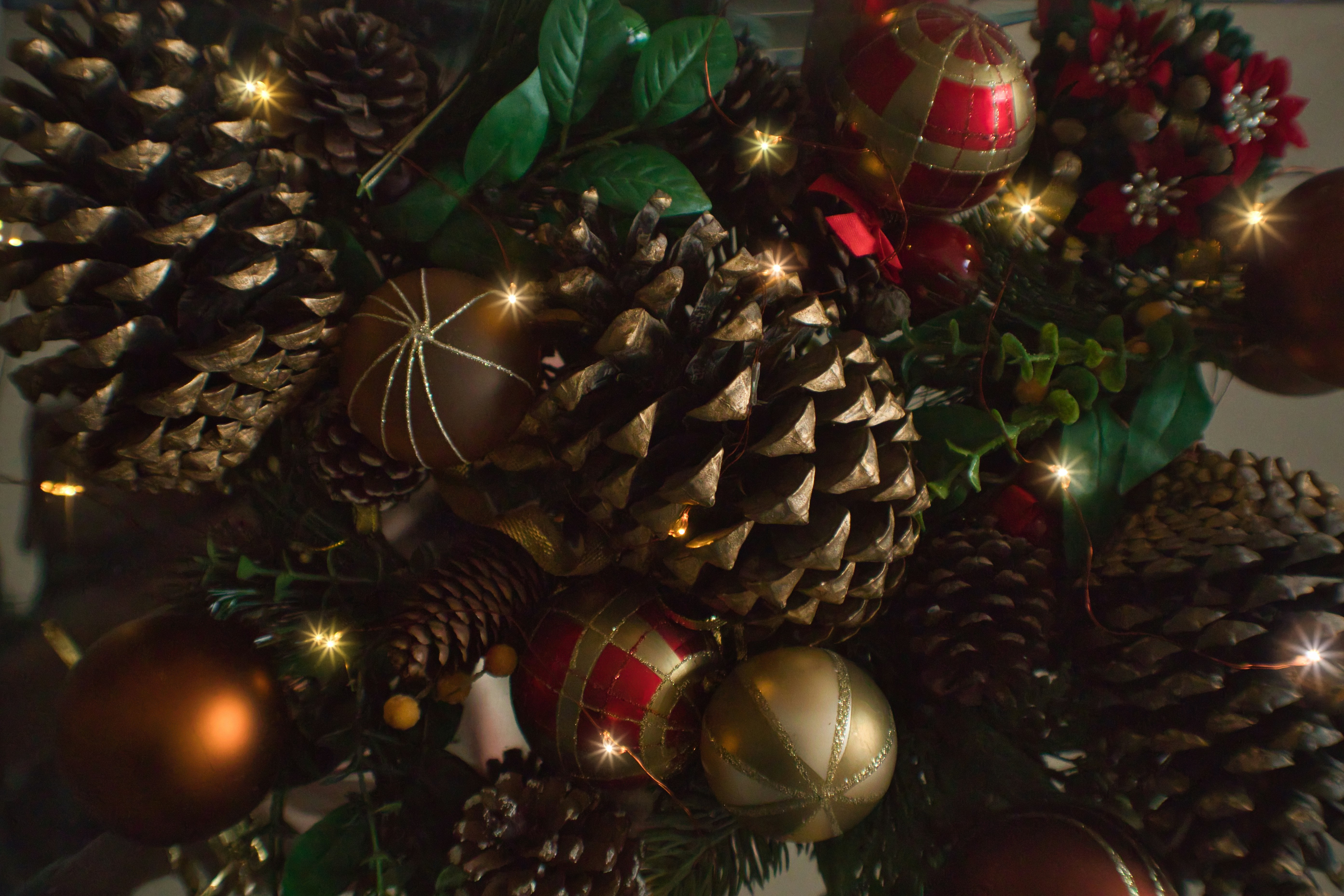 Photo by torben_gettermann