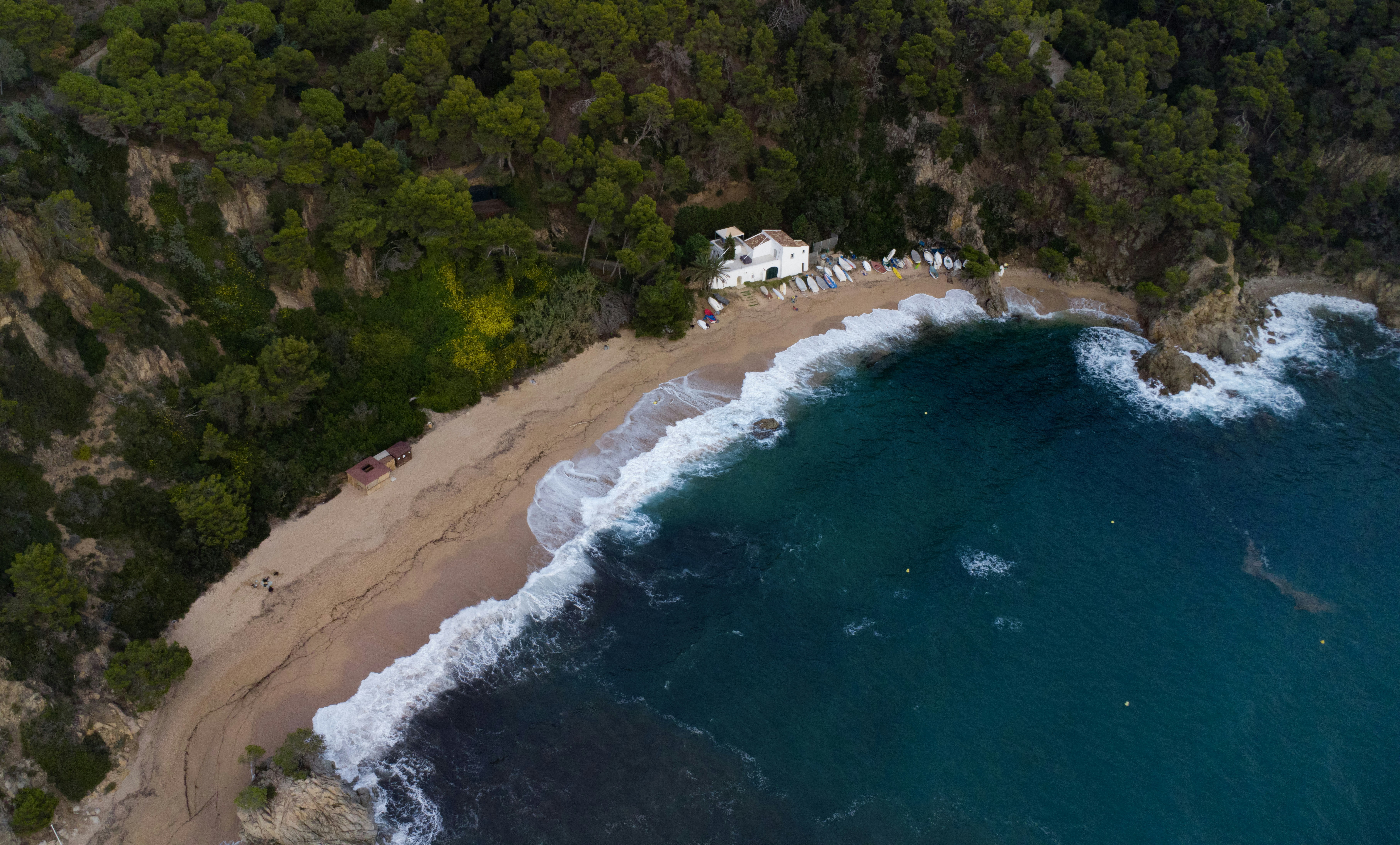 Sandy beach with turquoise water and green trees