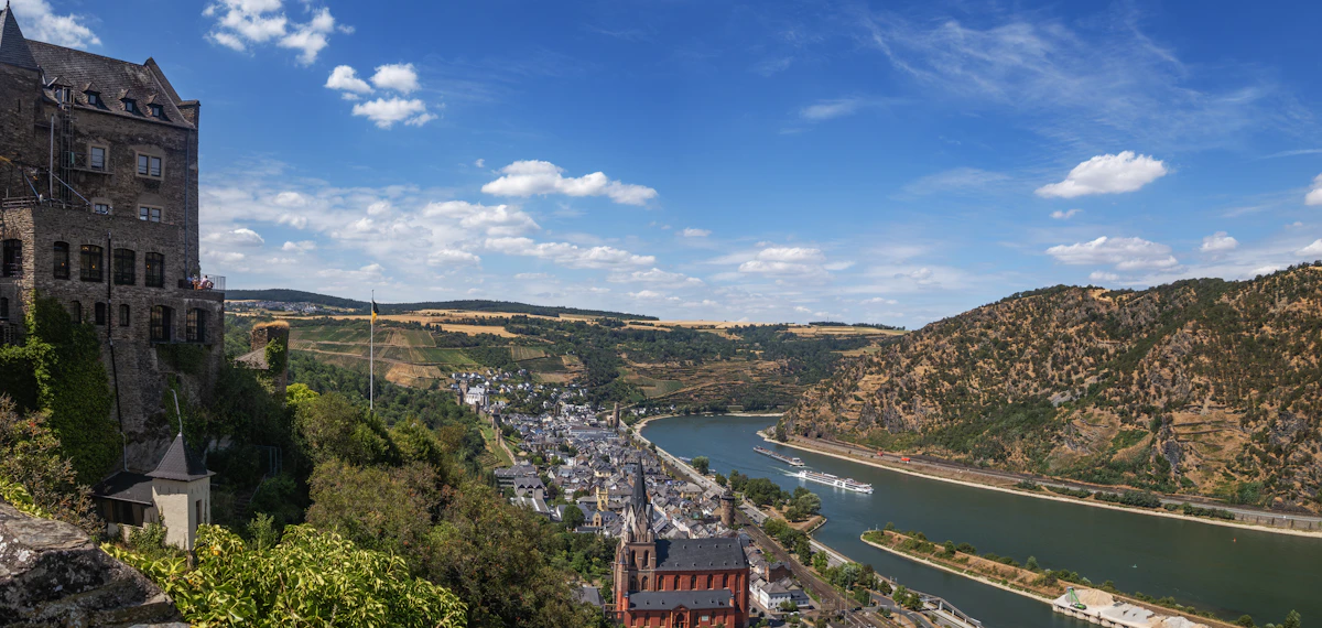 Neckartal mit Burg