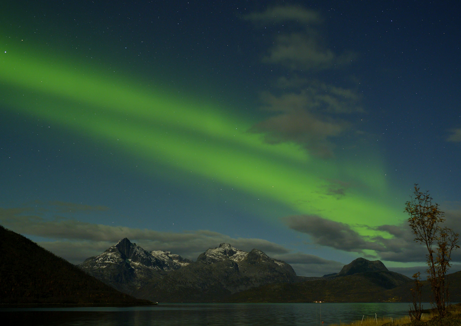 Band of green aurora over a fjord at Kvaløya near Tromsø, with a bare autumn tree in the foreground and the season's first snow on the peaks