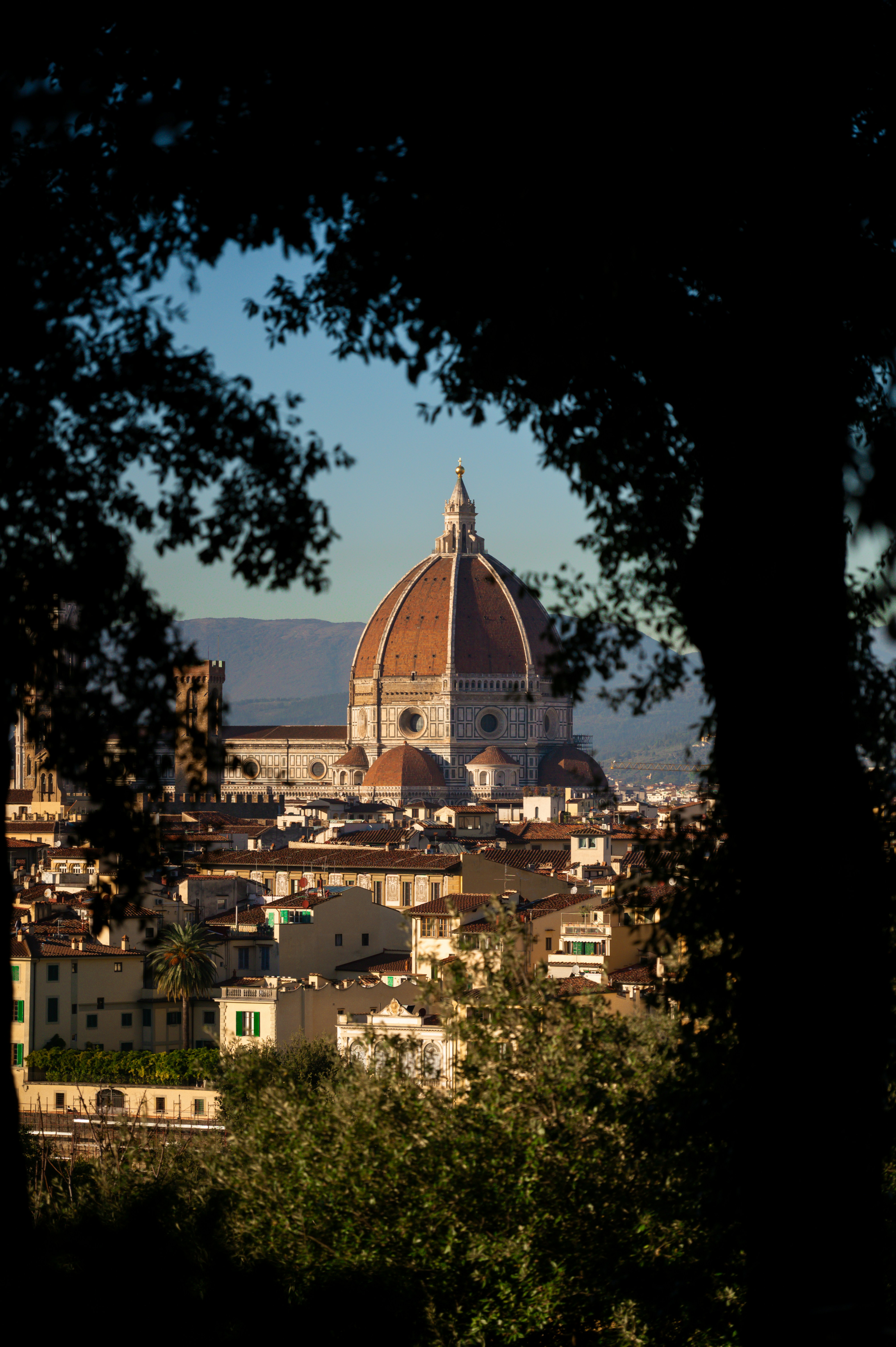 Florence cityscape with duomo dome framed by trees