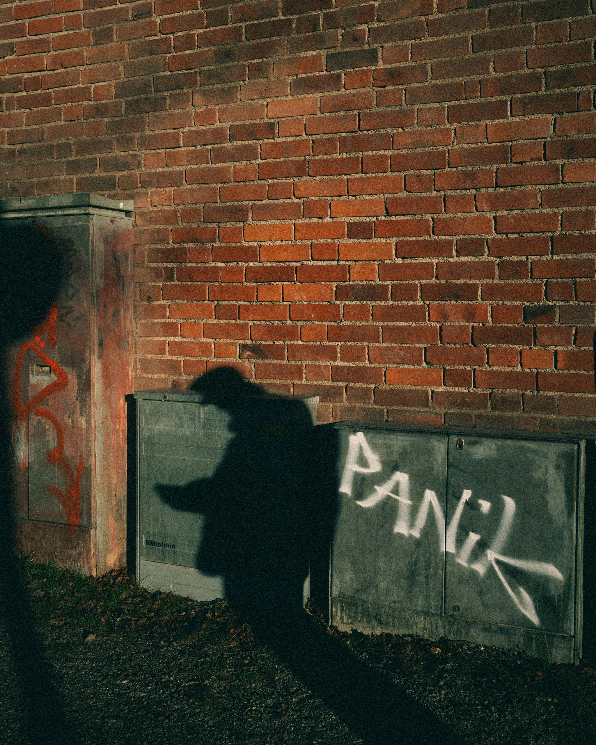 THE 2025 TOP WHATEVER, WEEK THIRTEEN