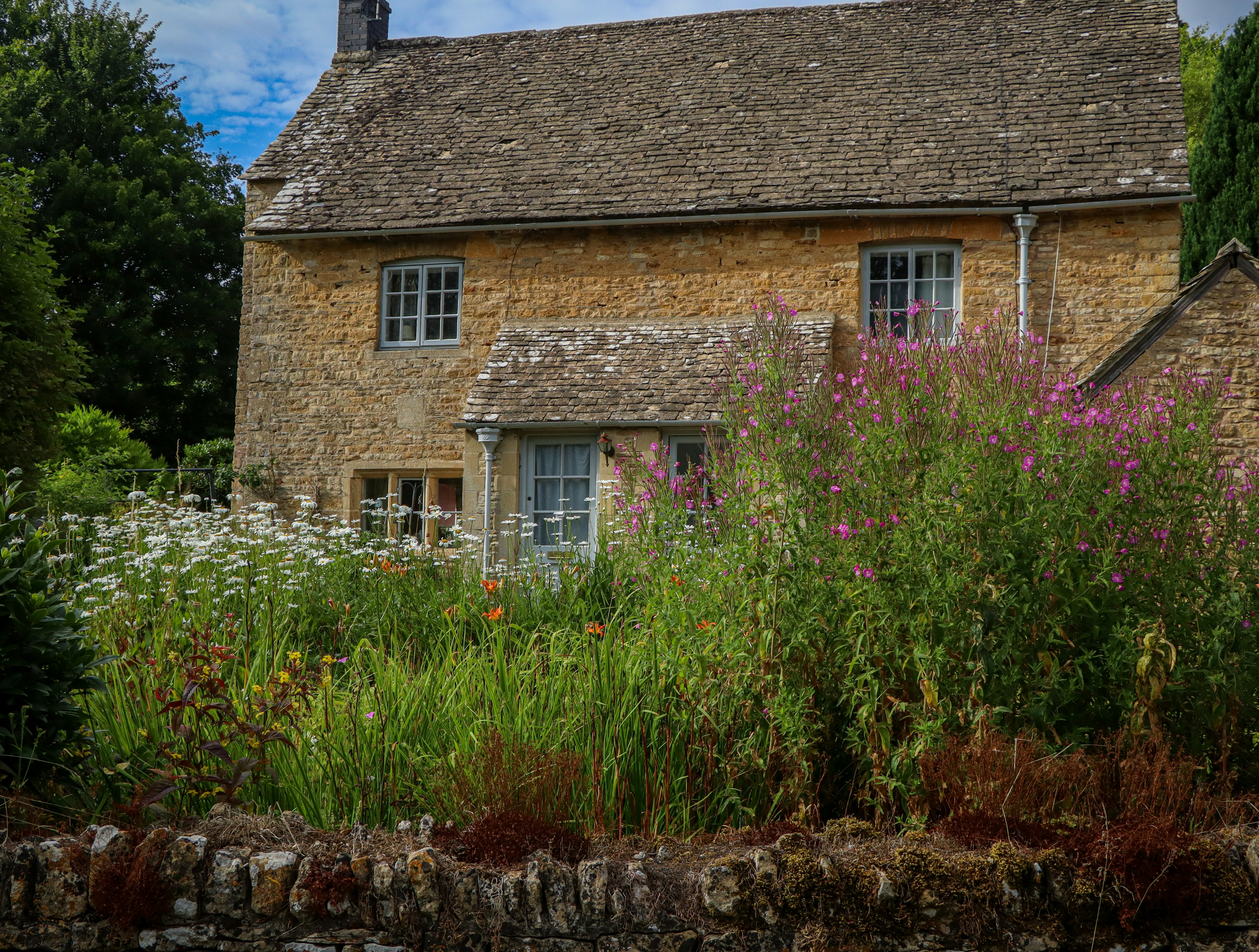 Photo by mhfphotographygb