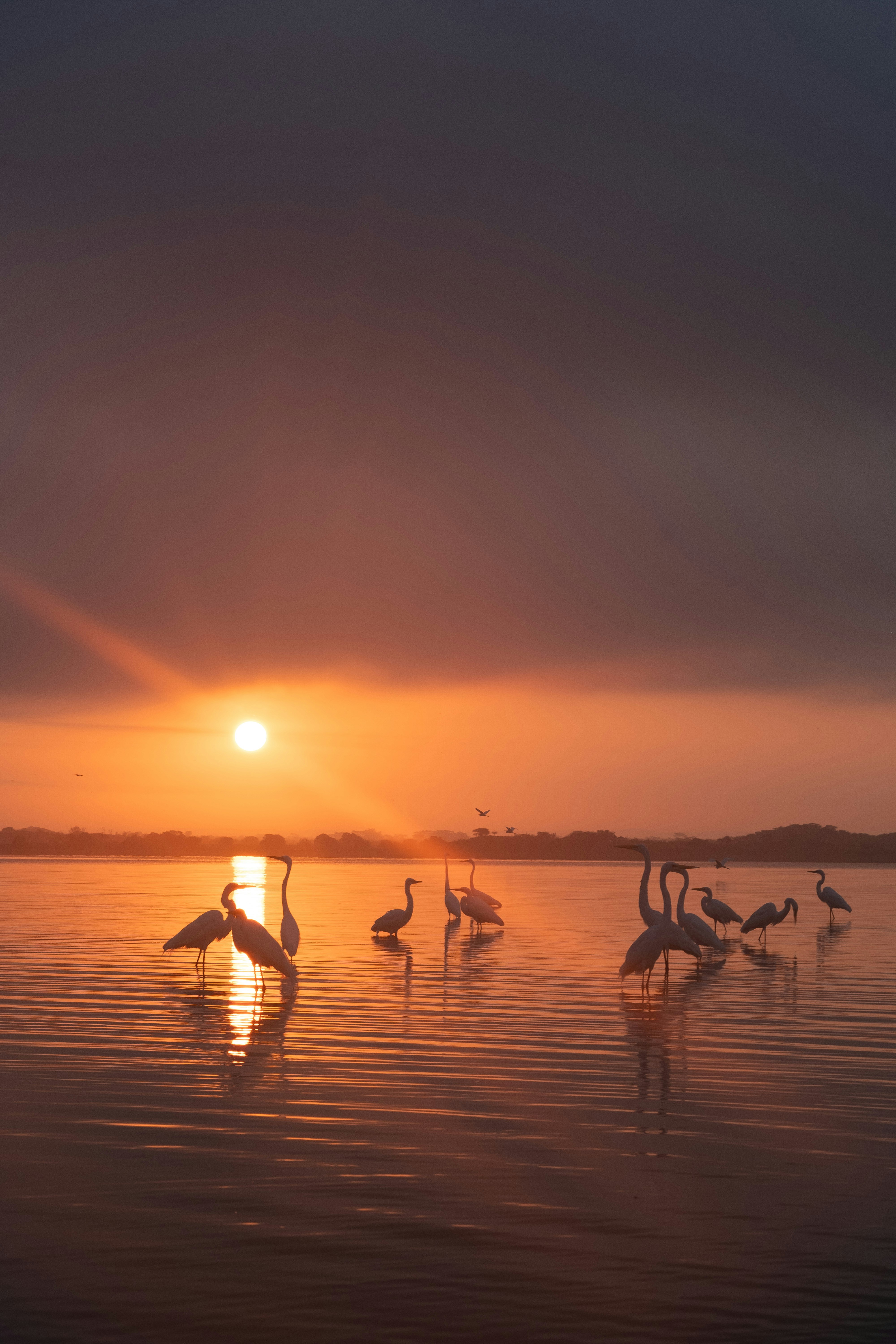 Photo by lau_acevedo