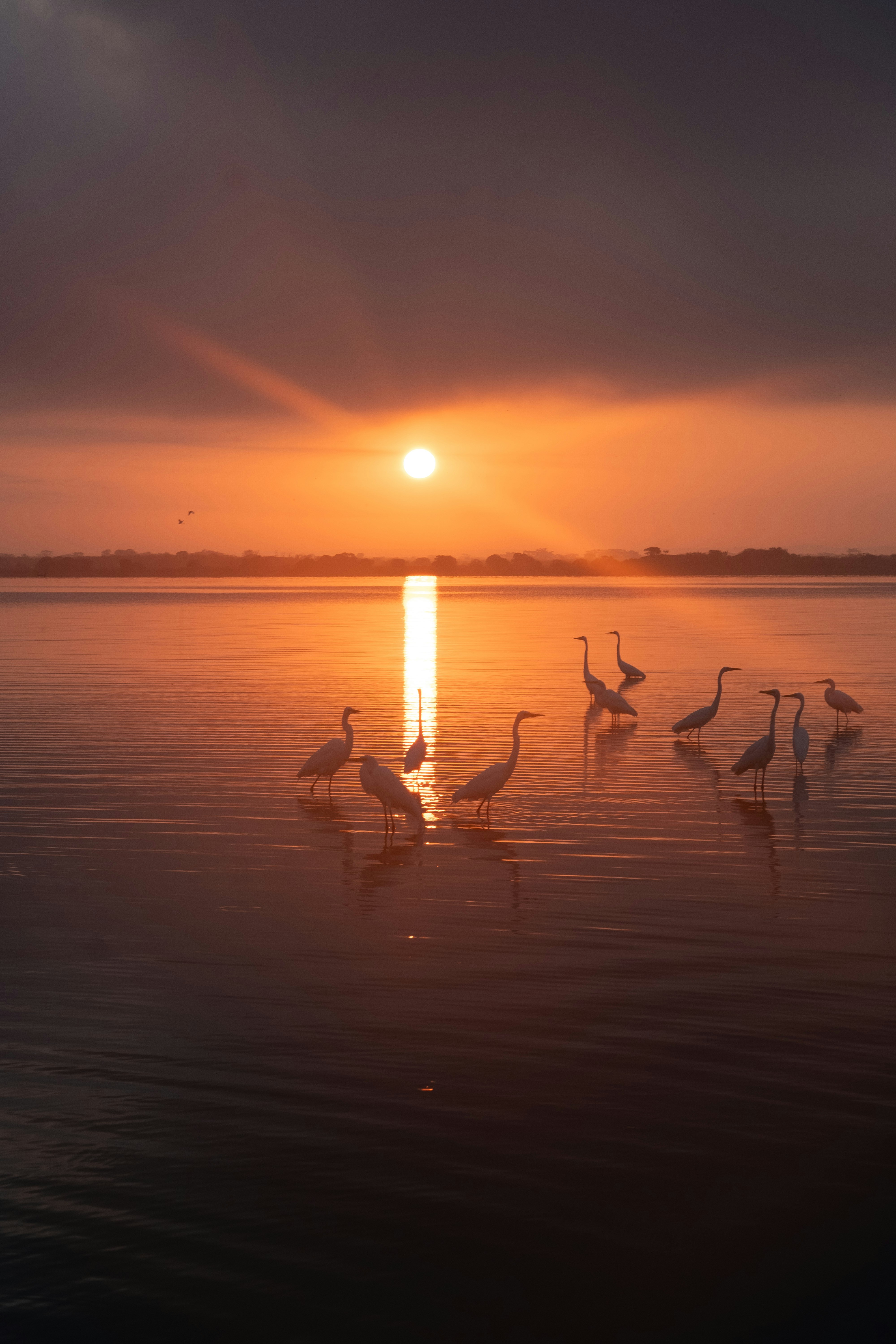 Photo by lau_acevedo