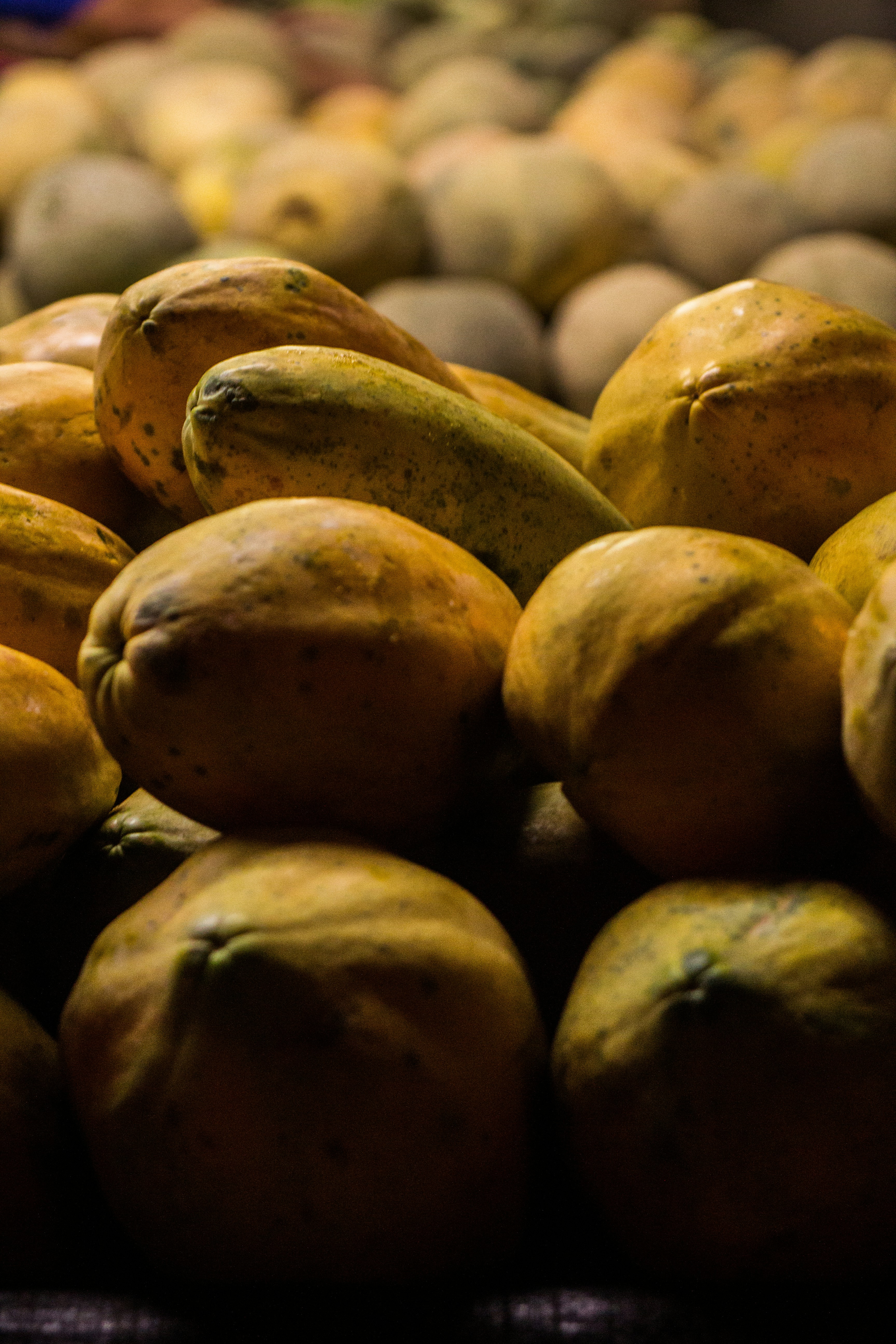 Photo by lau_acevedo