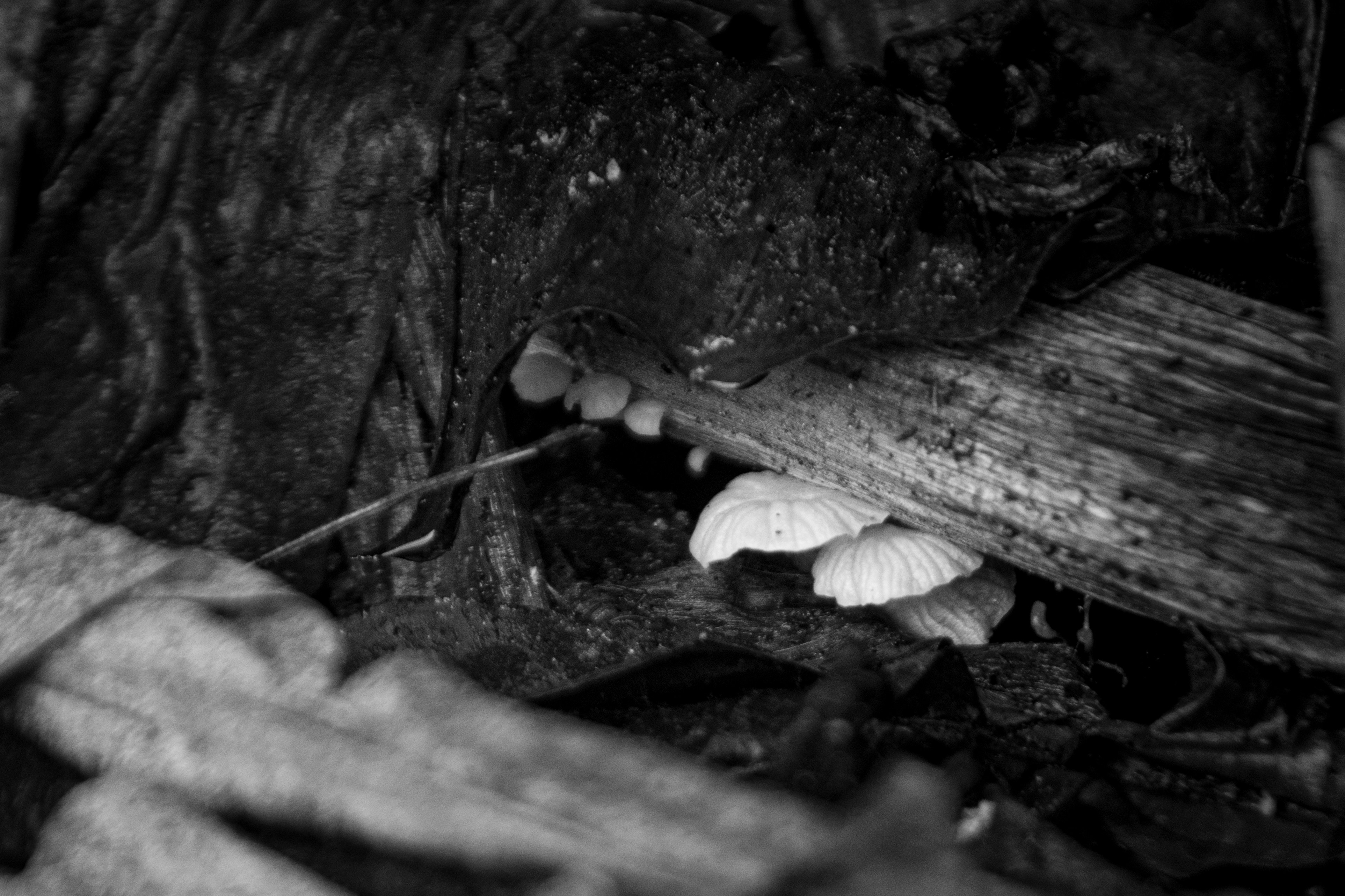 Photo by jealife_pictures