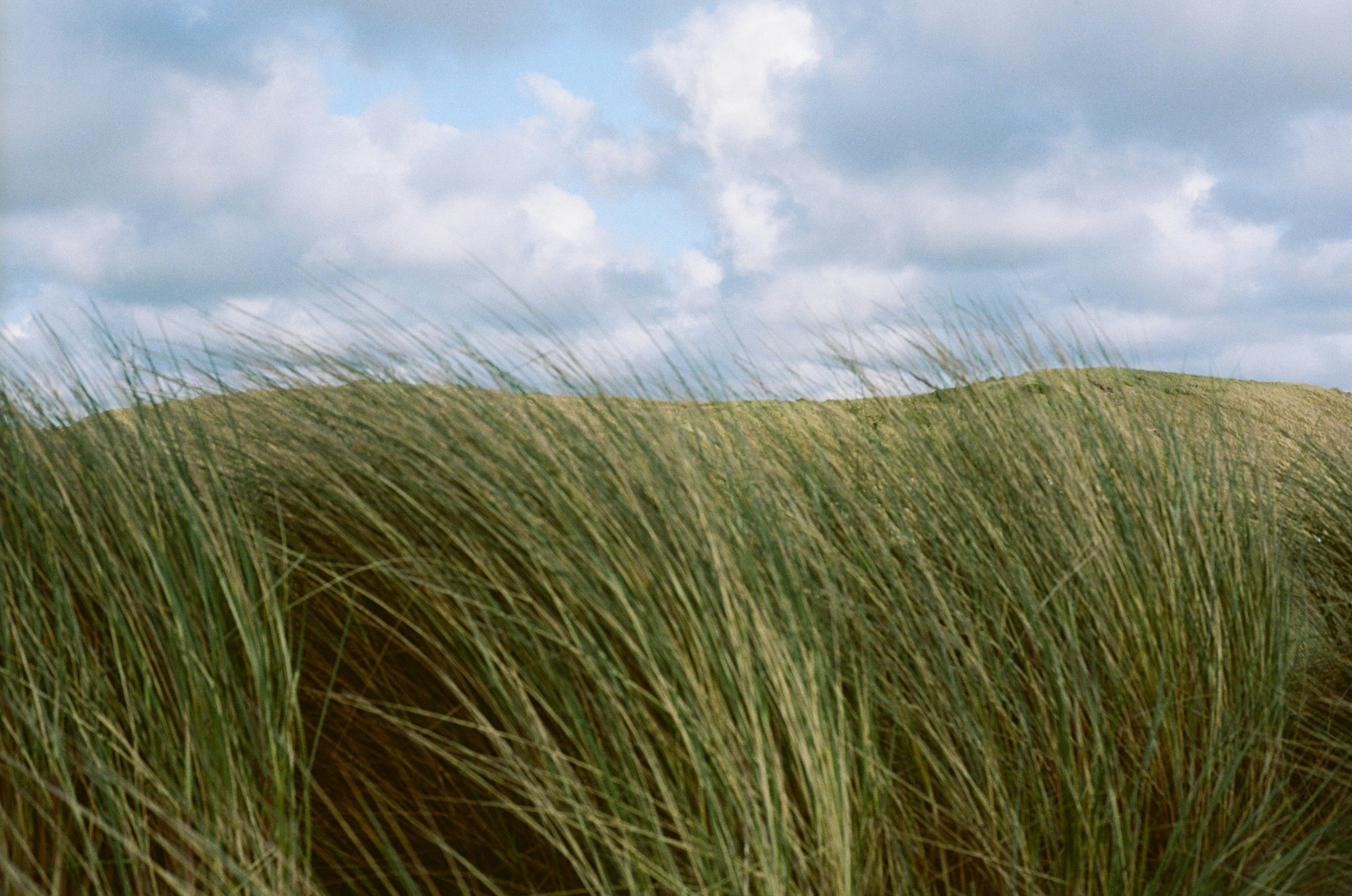 Photo by jeancarloemer