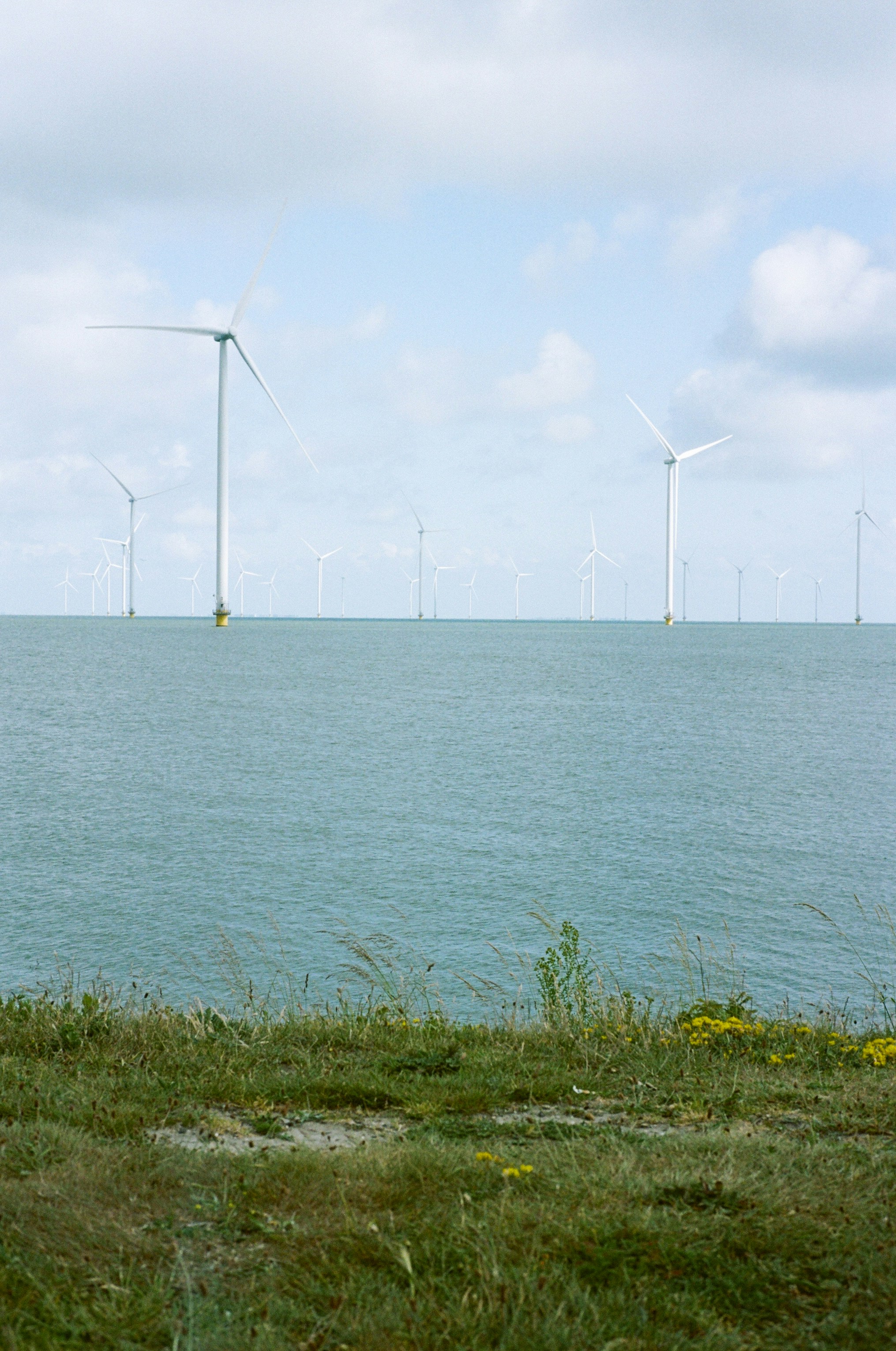 Photo by jeancarloemer