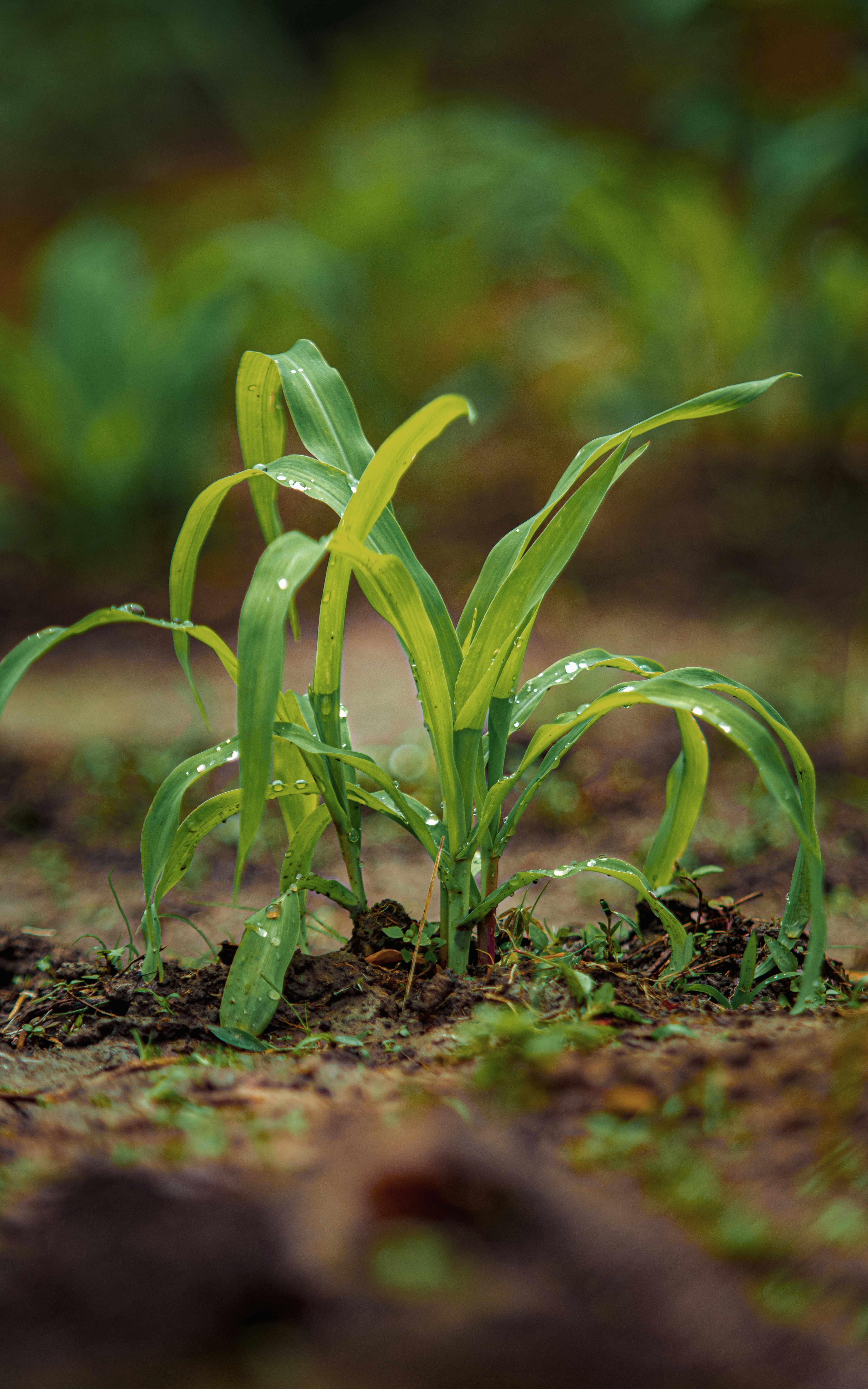 Photo by jealife_pictures