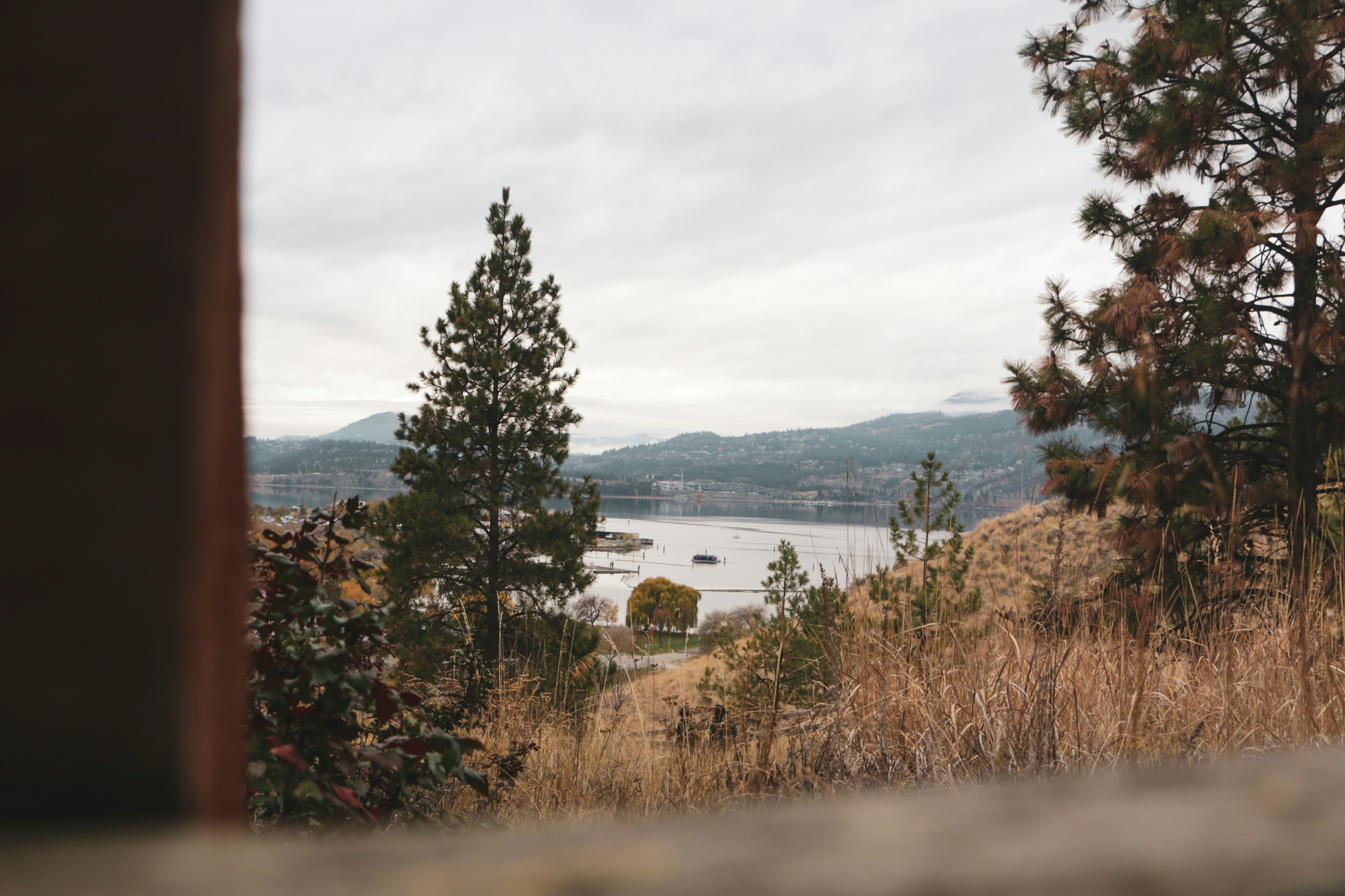 Trees and dry grass overlook a calm lake