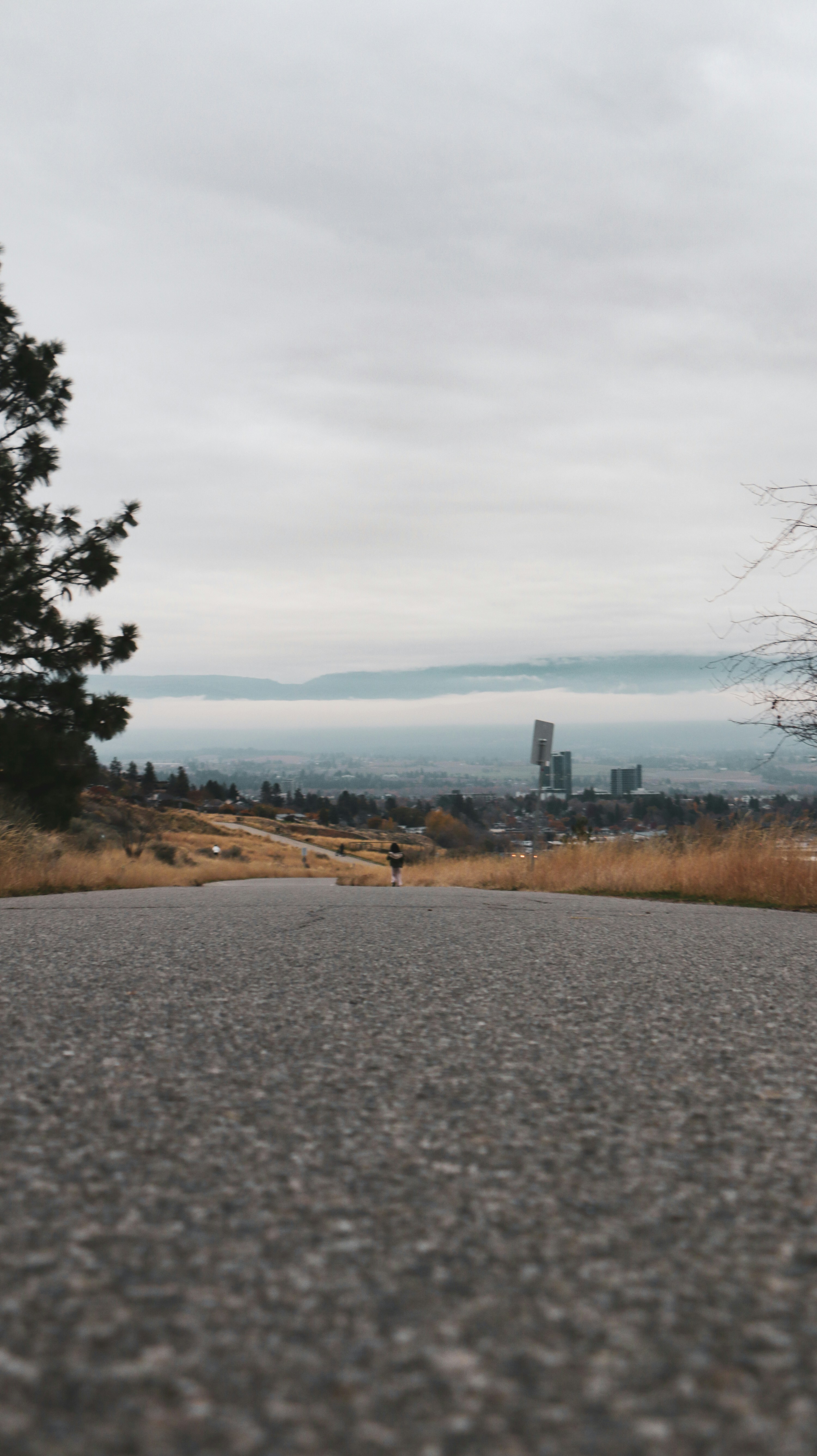 Person walking on road towards city buildings