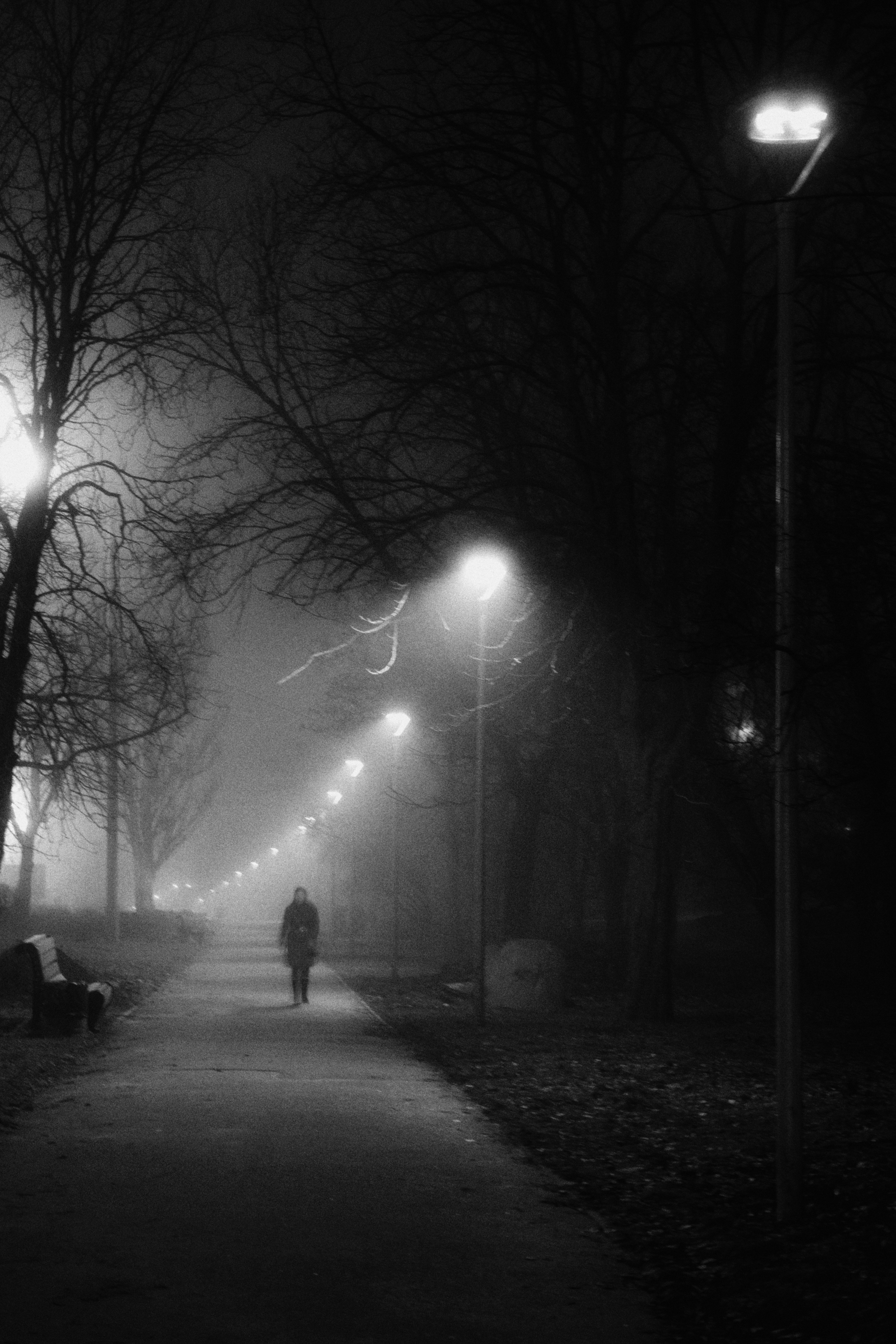 Photo by lvovandrewph