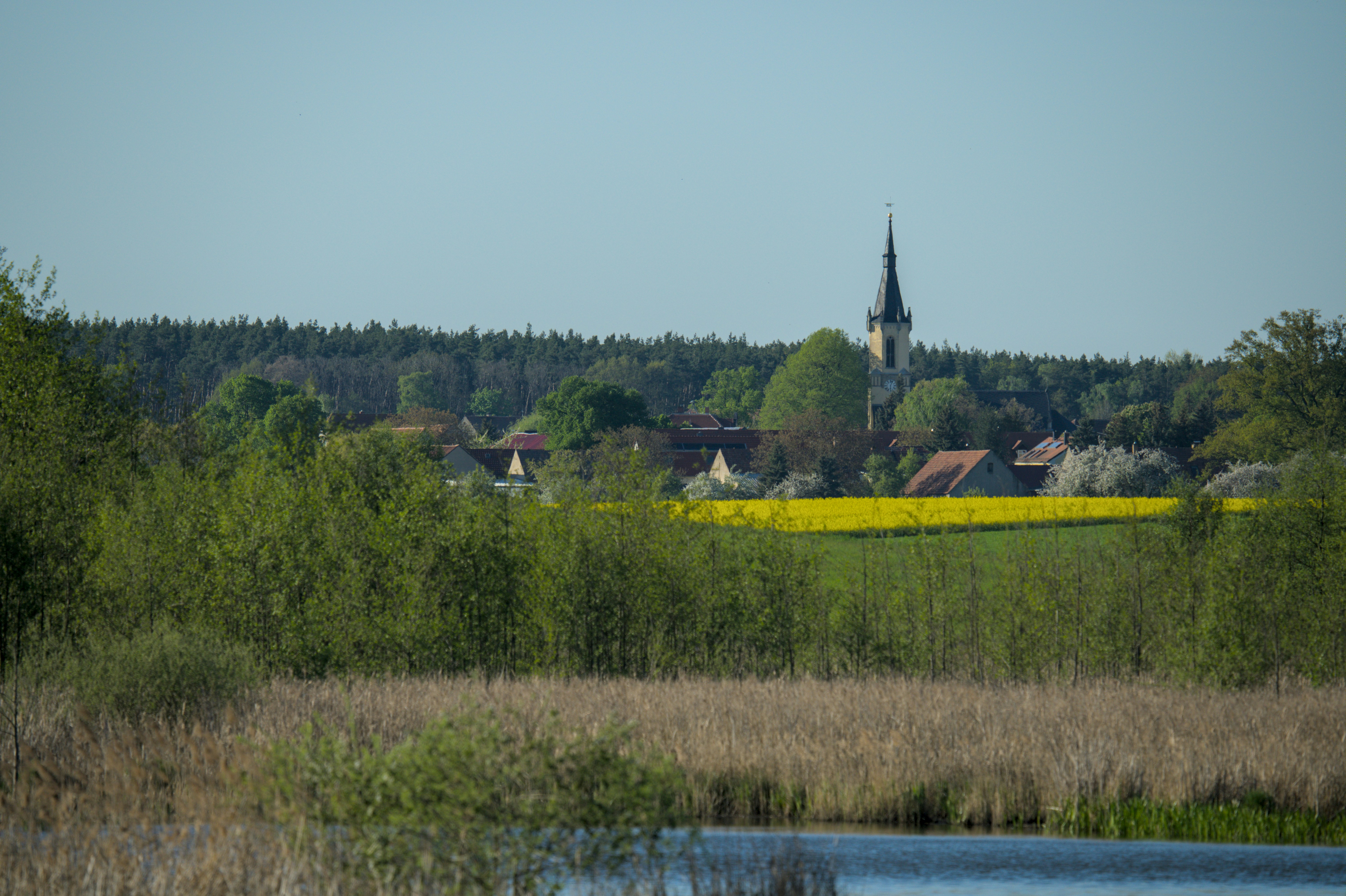 Afbeelding van Lieshout