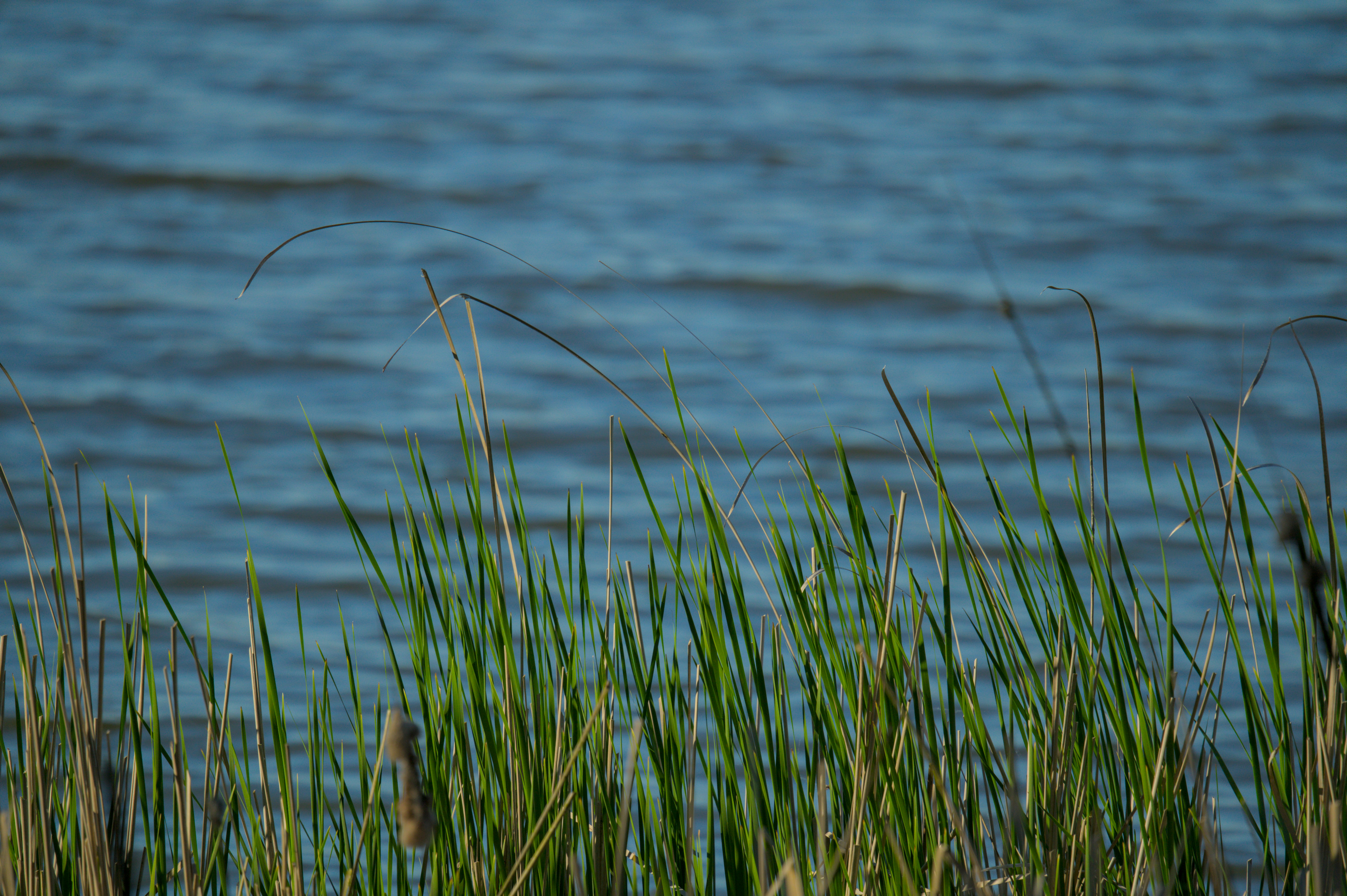 Photo by valentin_karisch