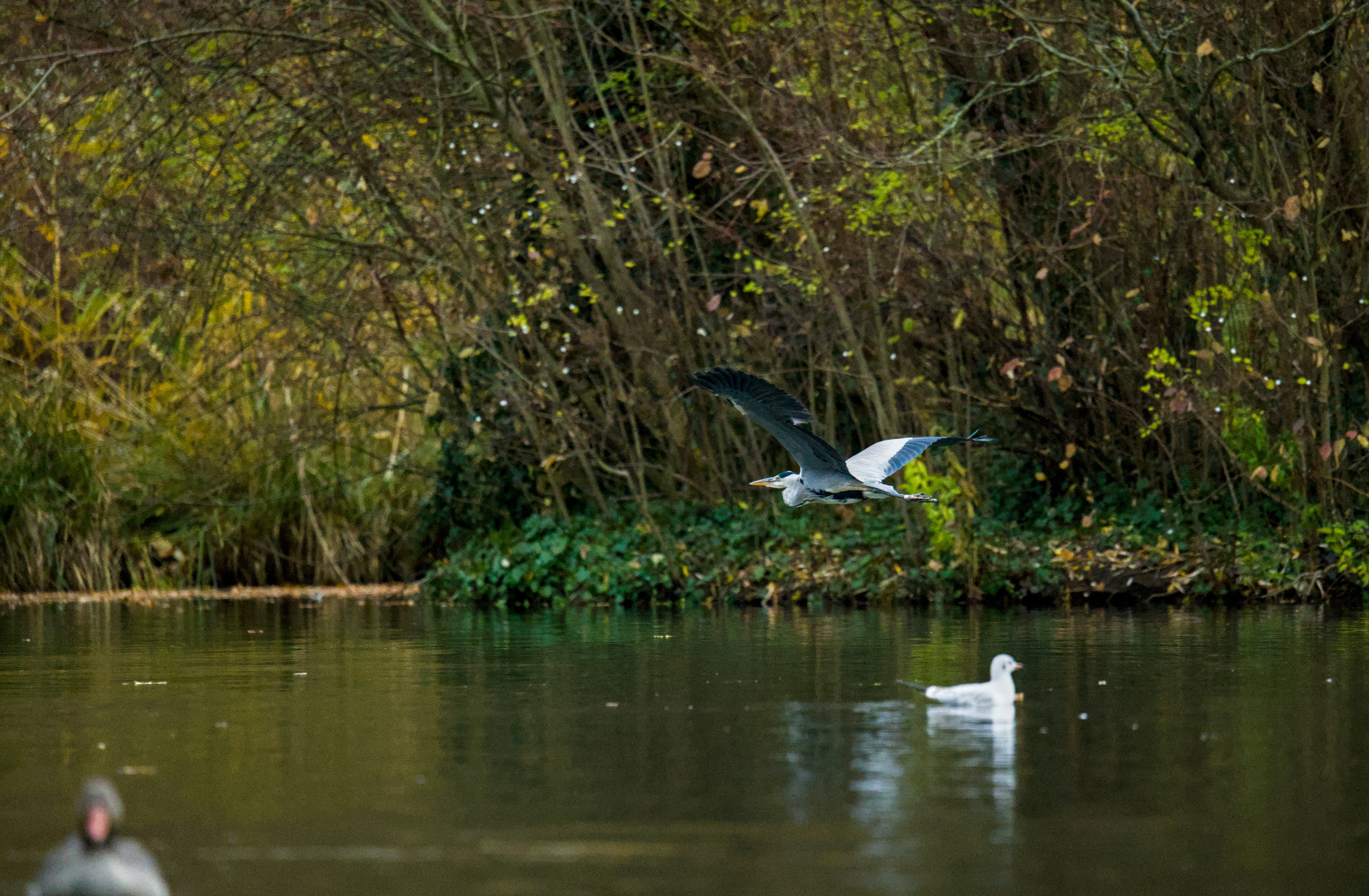 Photo by valentin_karisch