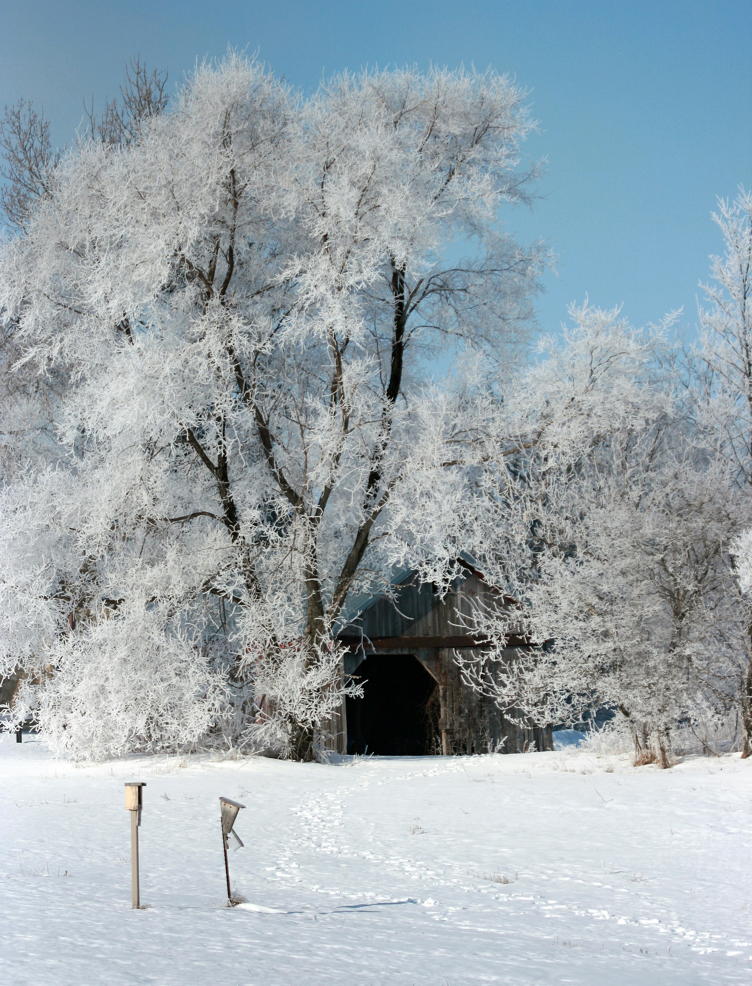 Photo by telliottmbamsc