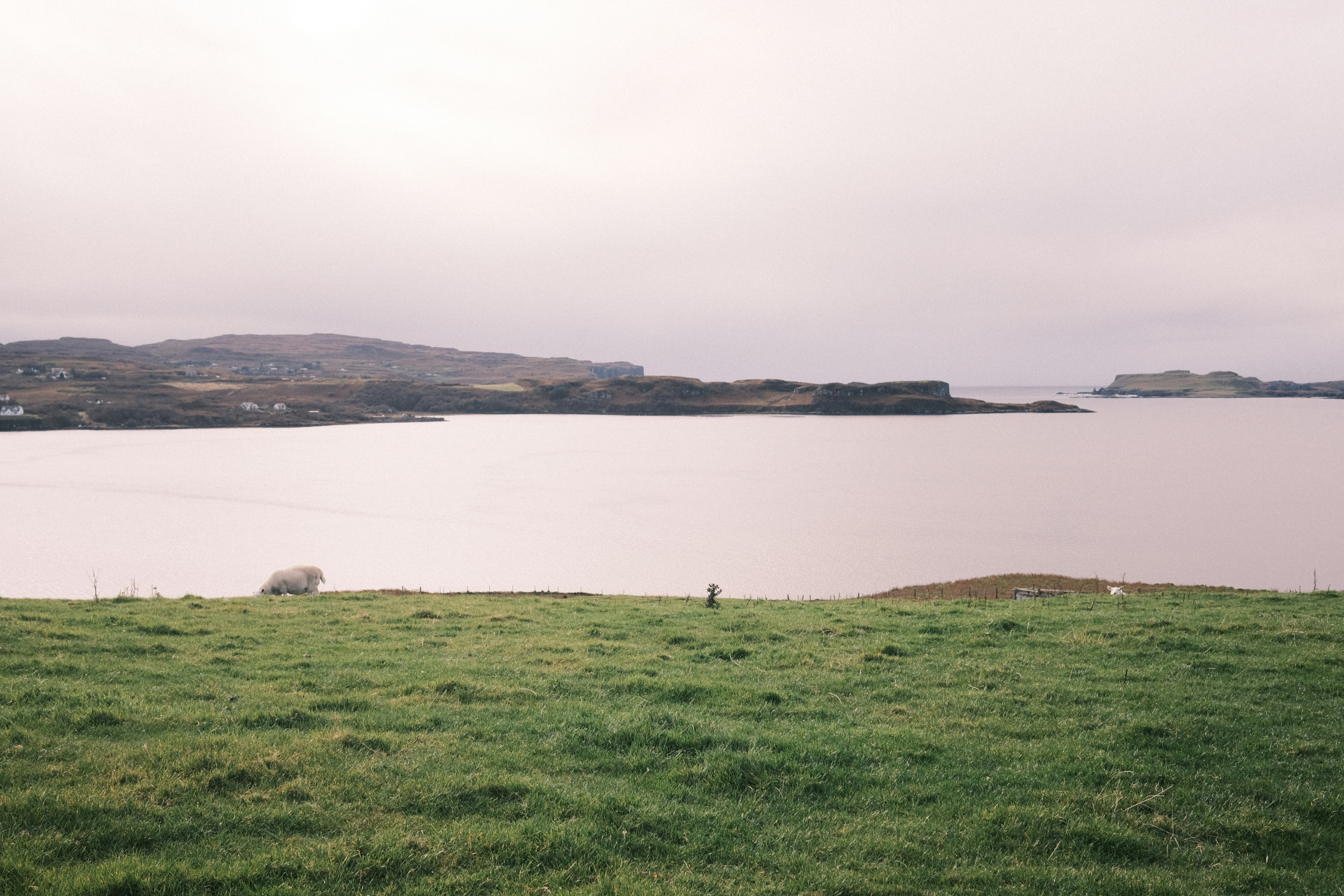 Photo by paigepatunas