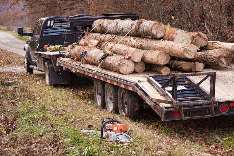 A flatbed trailer loaded with strapped logs in transit on the road