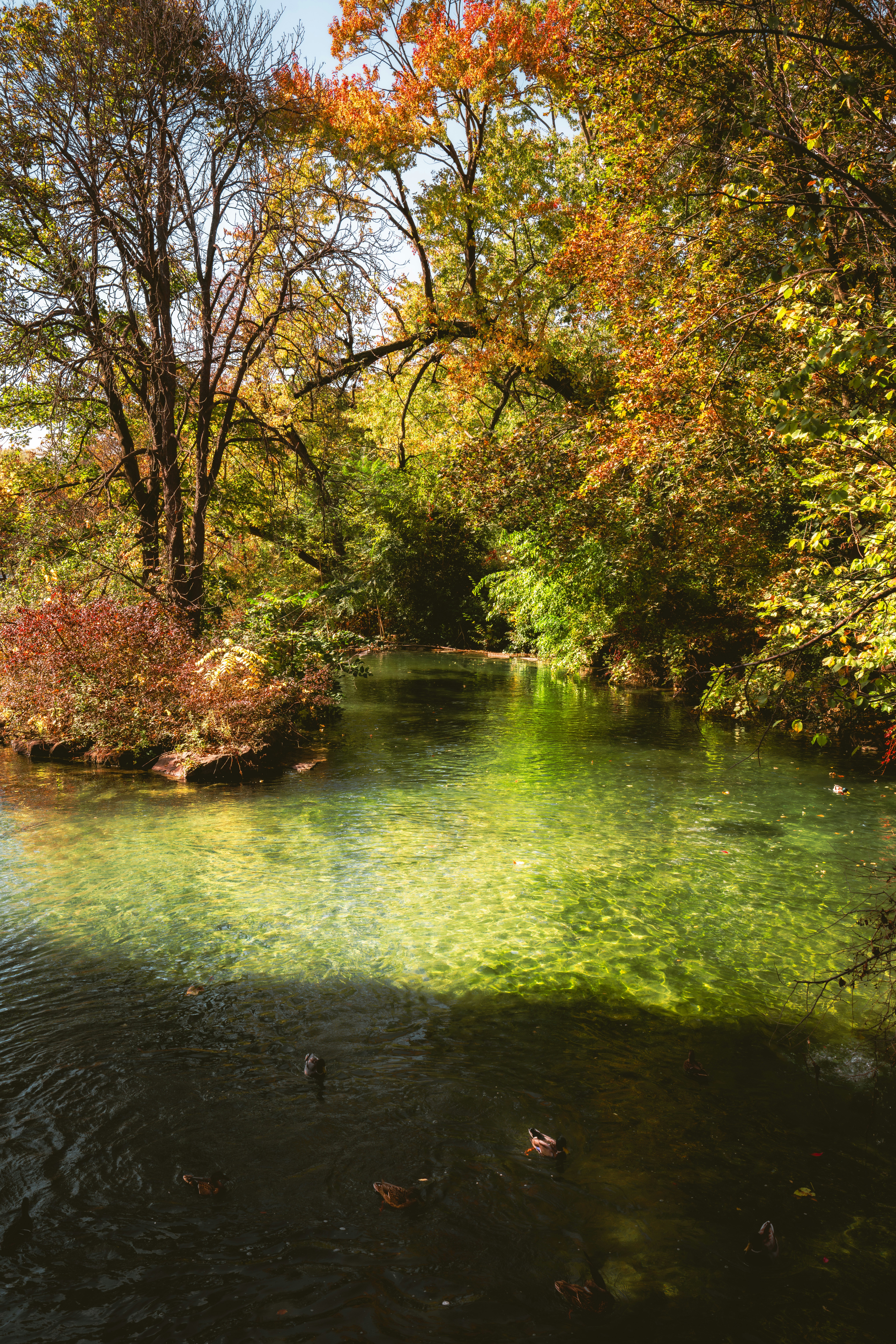 Photo by damiankravchuk