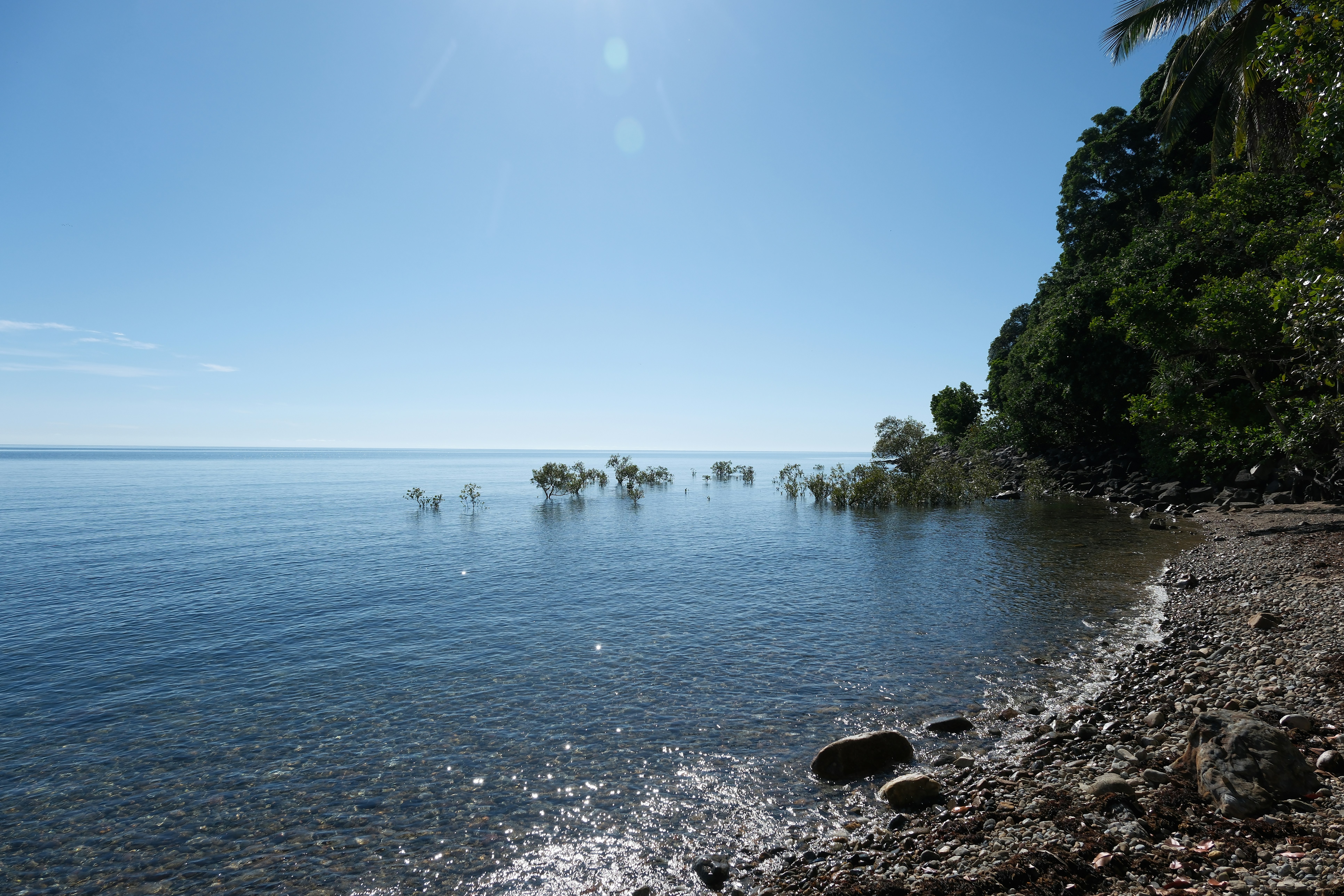 Calm ocean water meets a rocky shore with trees.