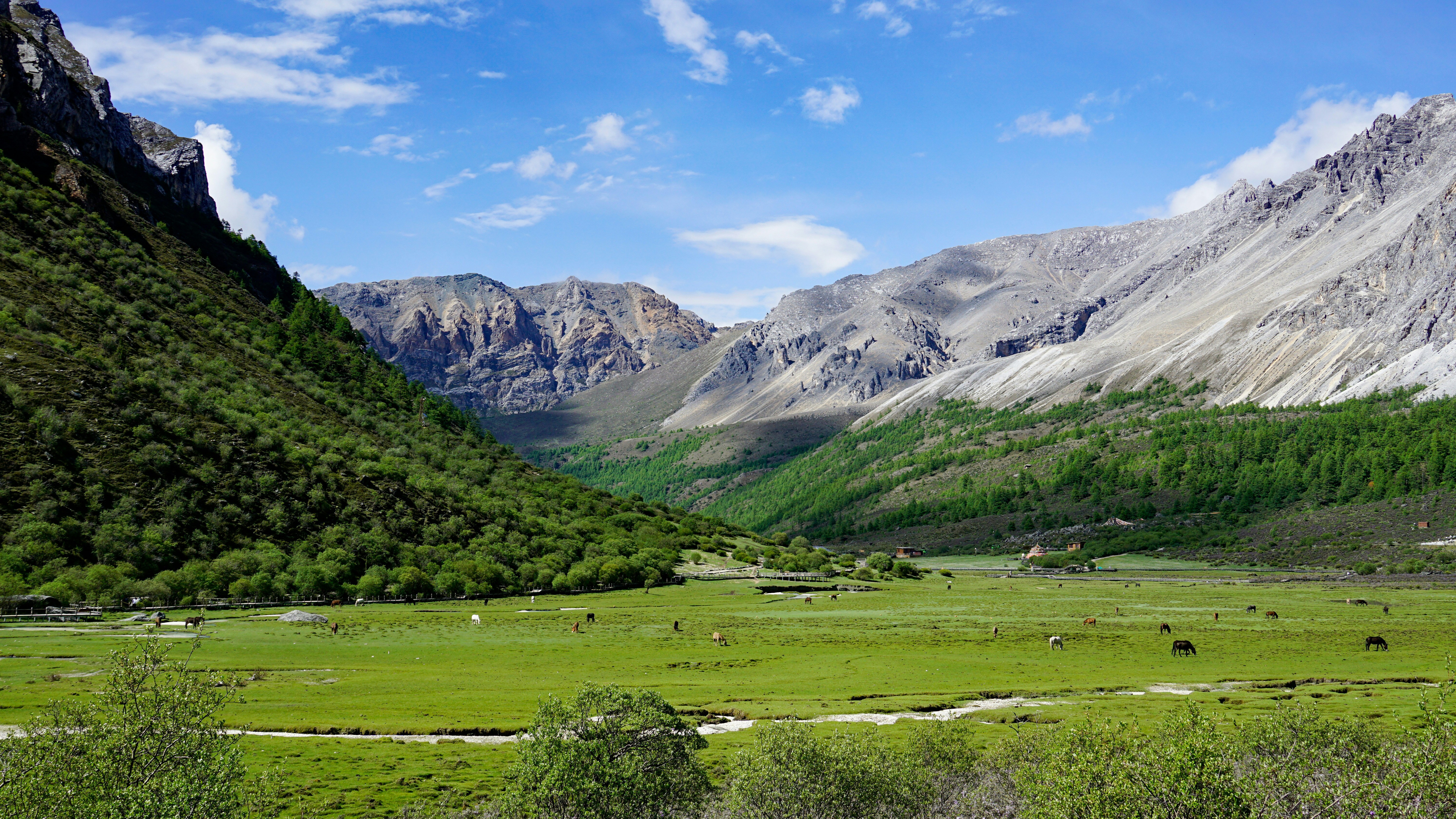 Green valley with mountains under a blue sky