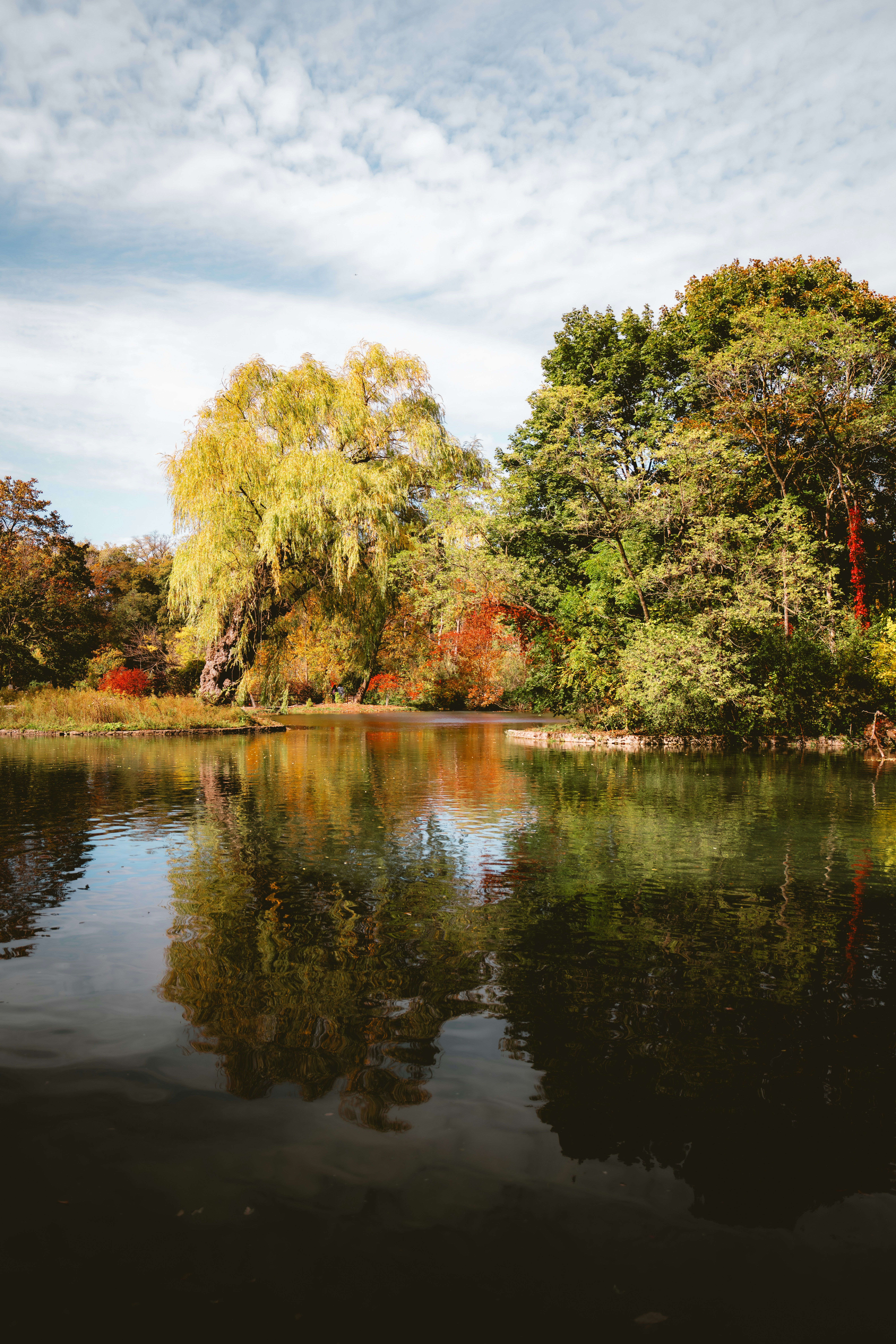 Photo by damiankravchuk