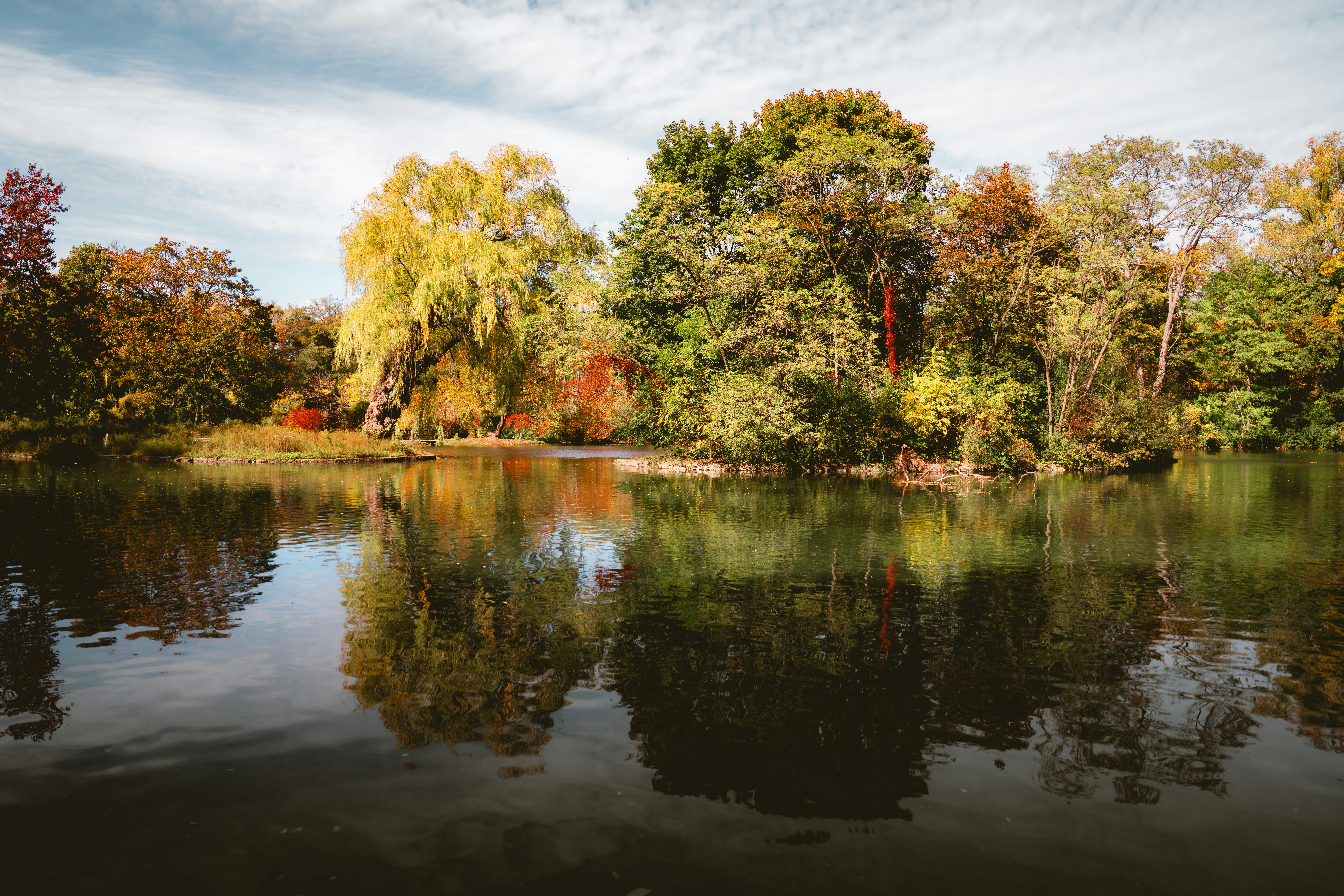 Photo by damiankravchuk