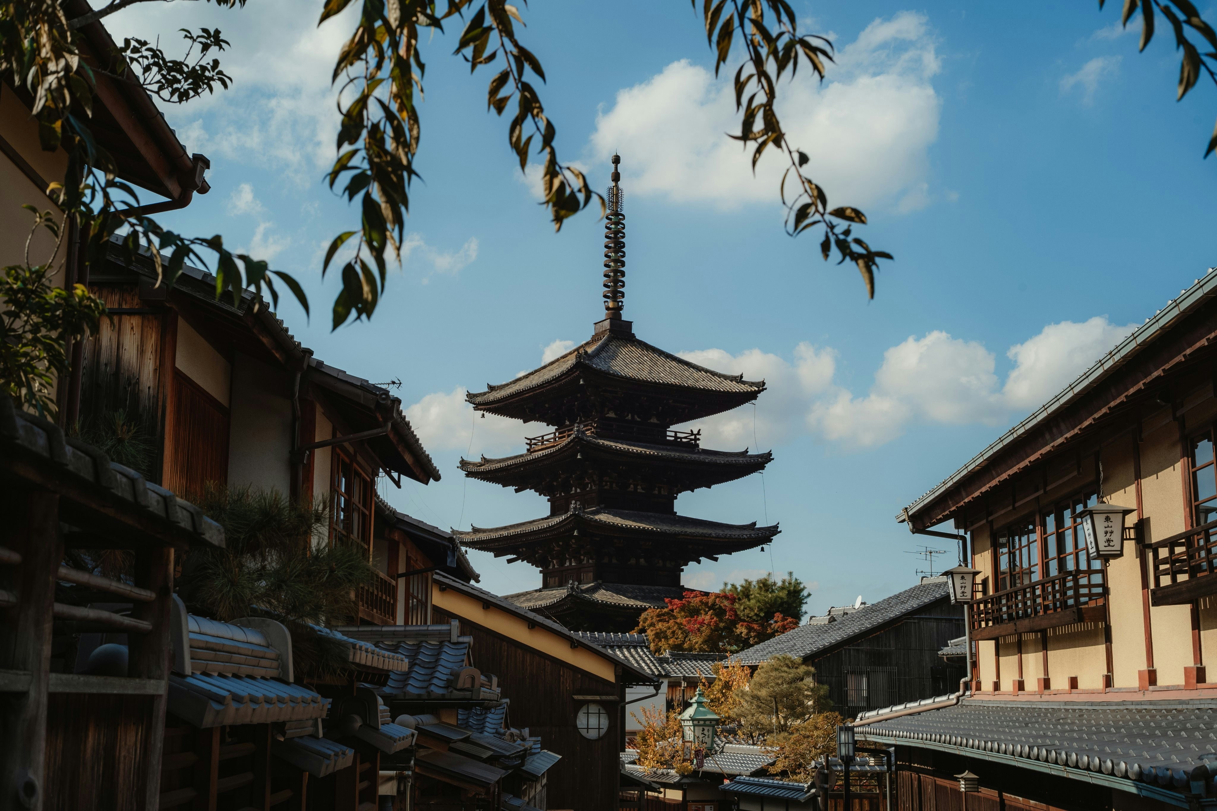 Photo by bestlifanna