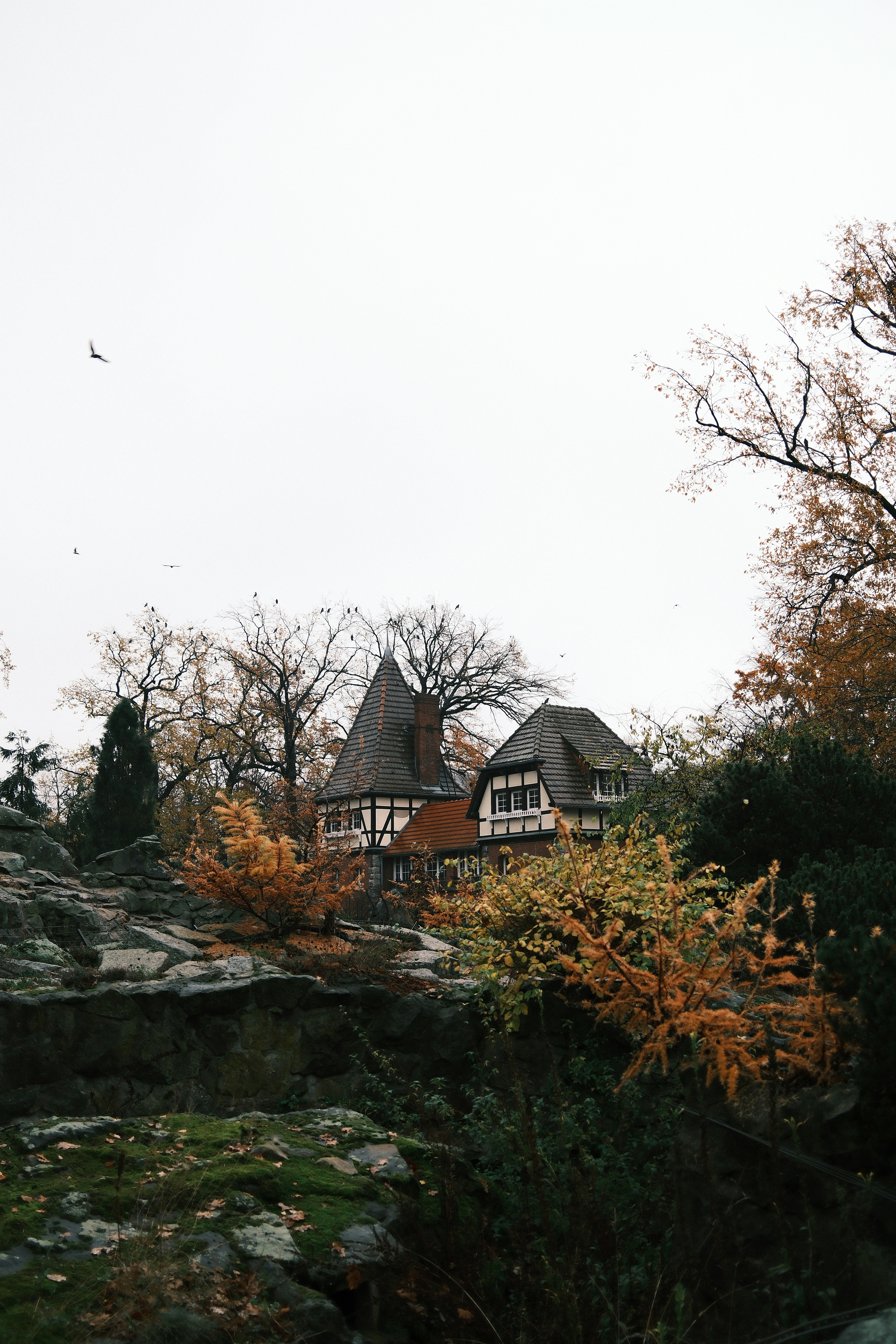 Tudor-style houses nestled among autumn trees