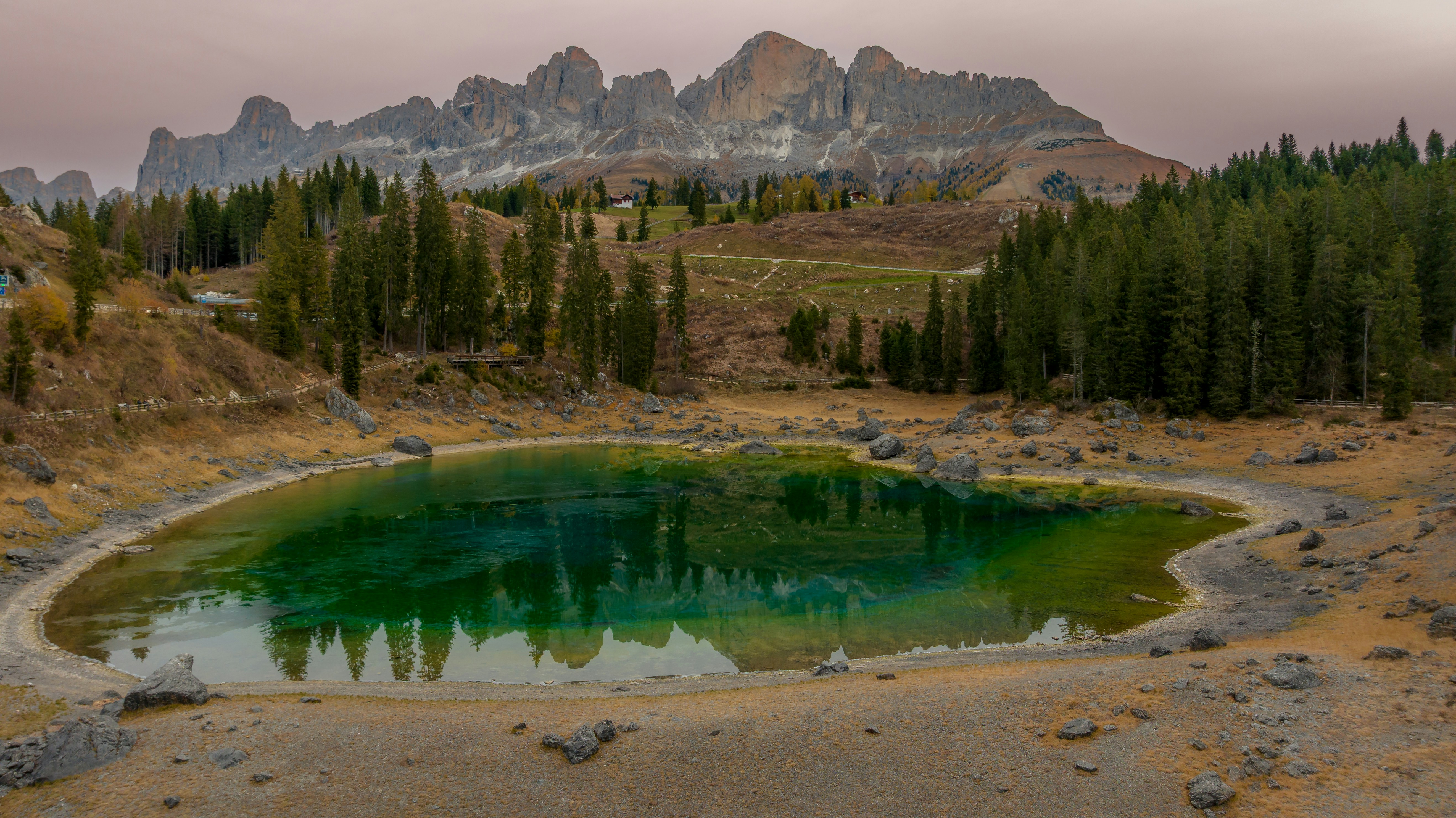 エメラルド湖はギザギザの山頂や松の木々を映し出しています