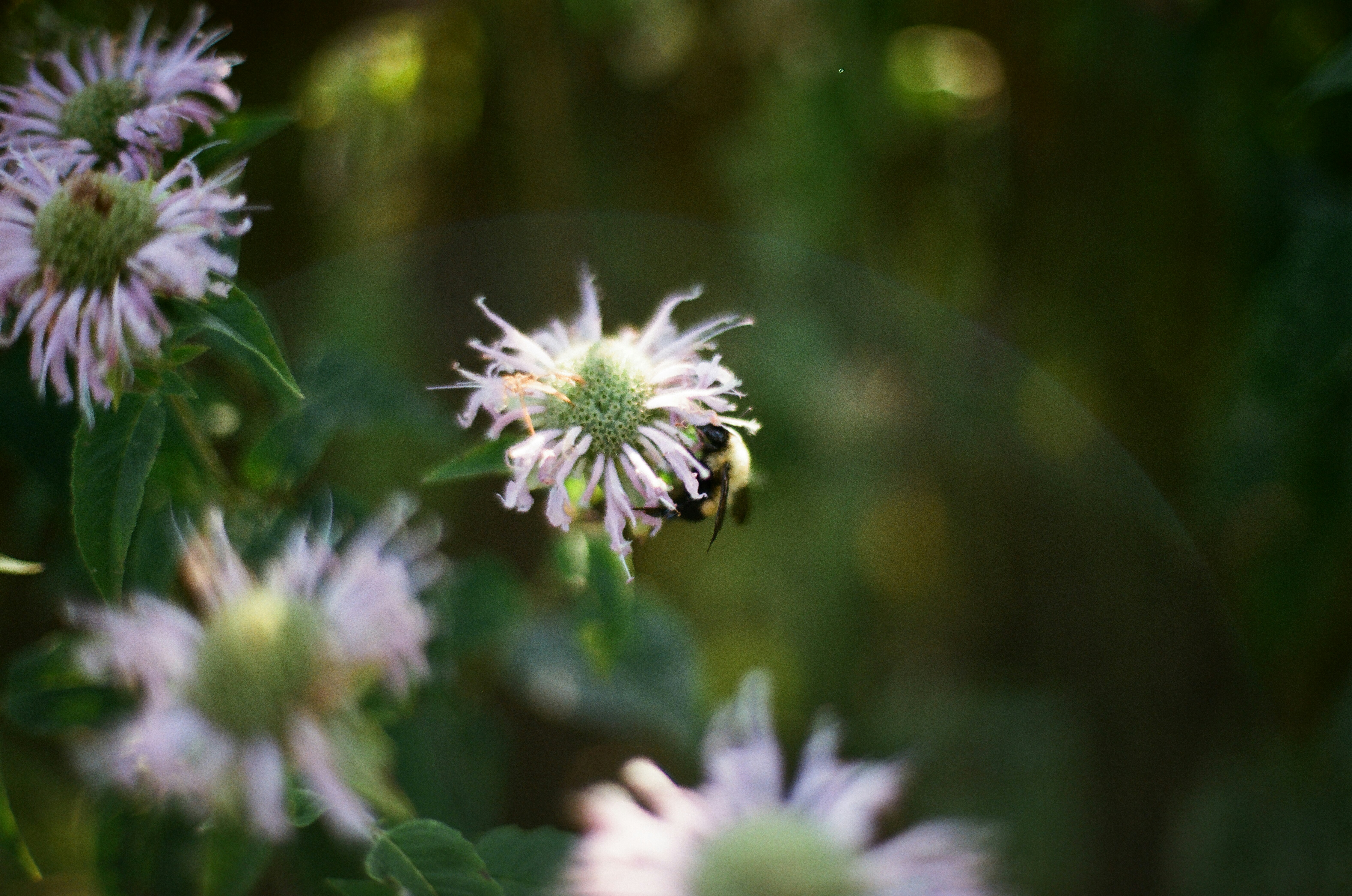 Photo by theolaflamme