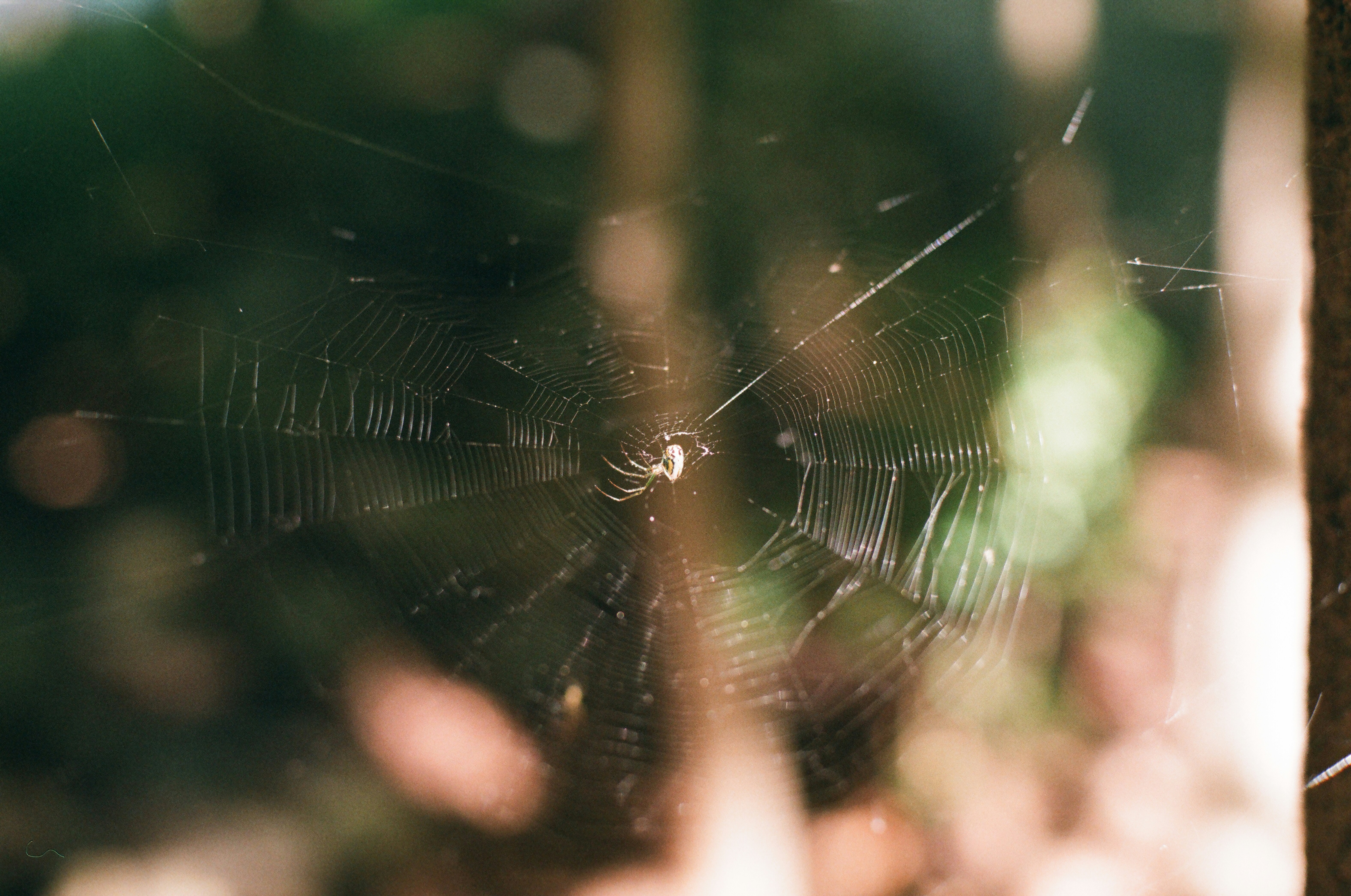 Photo by theolaflamme