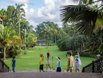 เด็กๆ สำรวจสวนพฤกษศาสตร์อันเขียวชอุ่มที่เต็มไปด้วยต้นปาล์ม