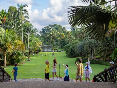 เด็กๆ สำรวจสวนพฤกษศาสตร์อันเขียวชอุ่มที่เต็มไปด้วยต้นปาล์ม