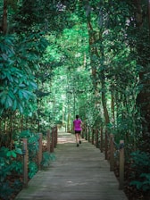 Person running on a wooden path through a lush forest.