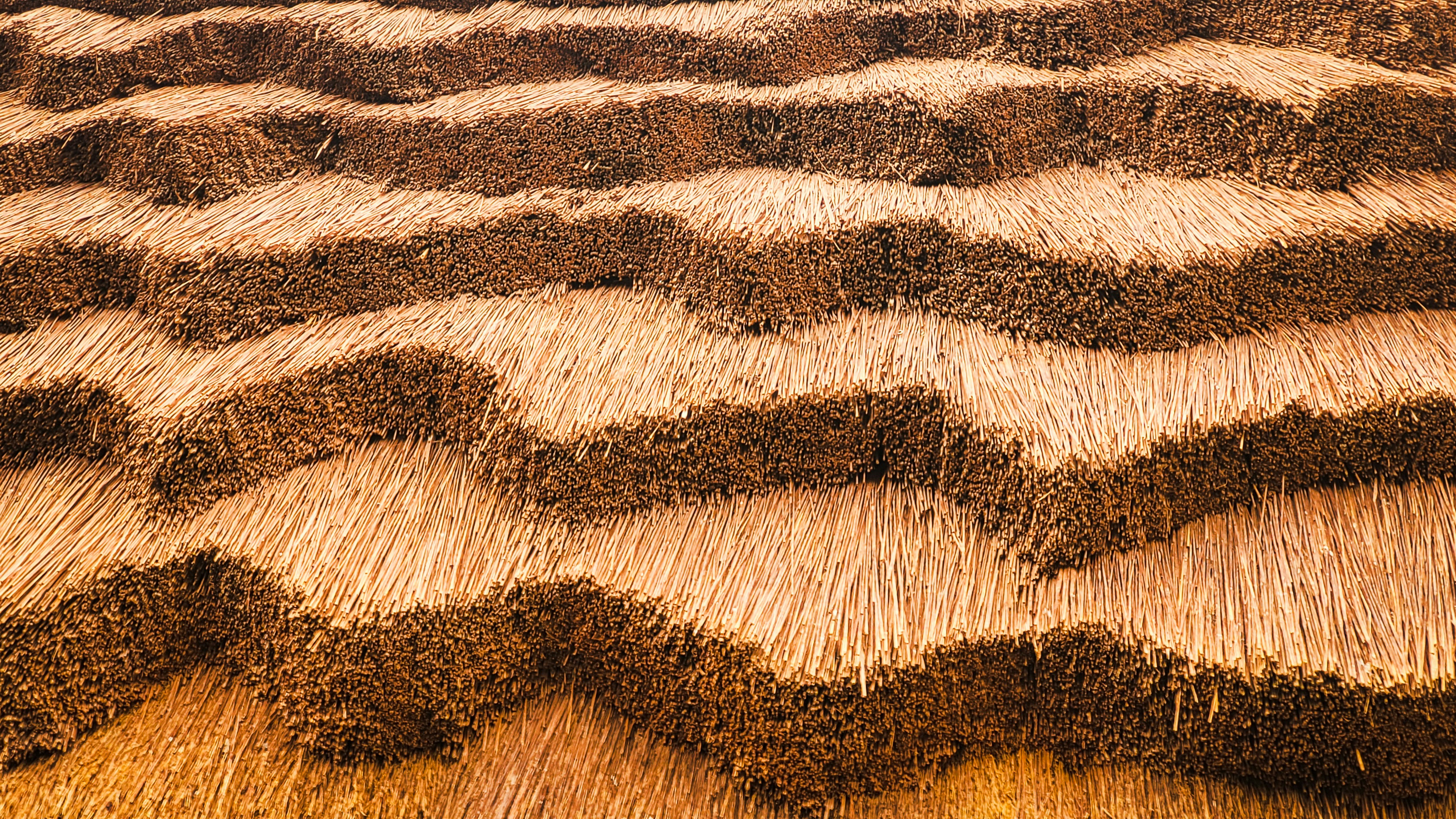 Vista de perto de um telhado de palha com padrões ondulados