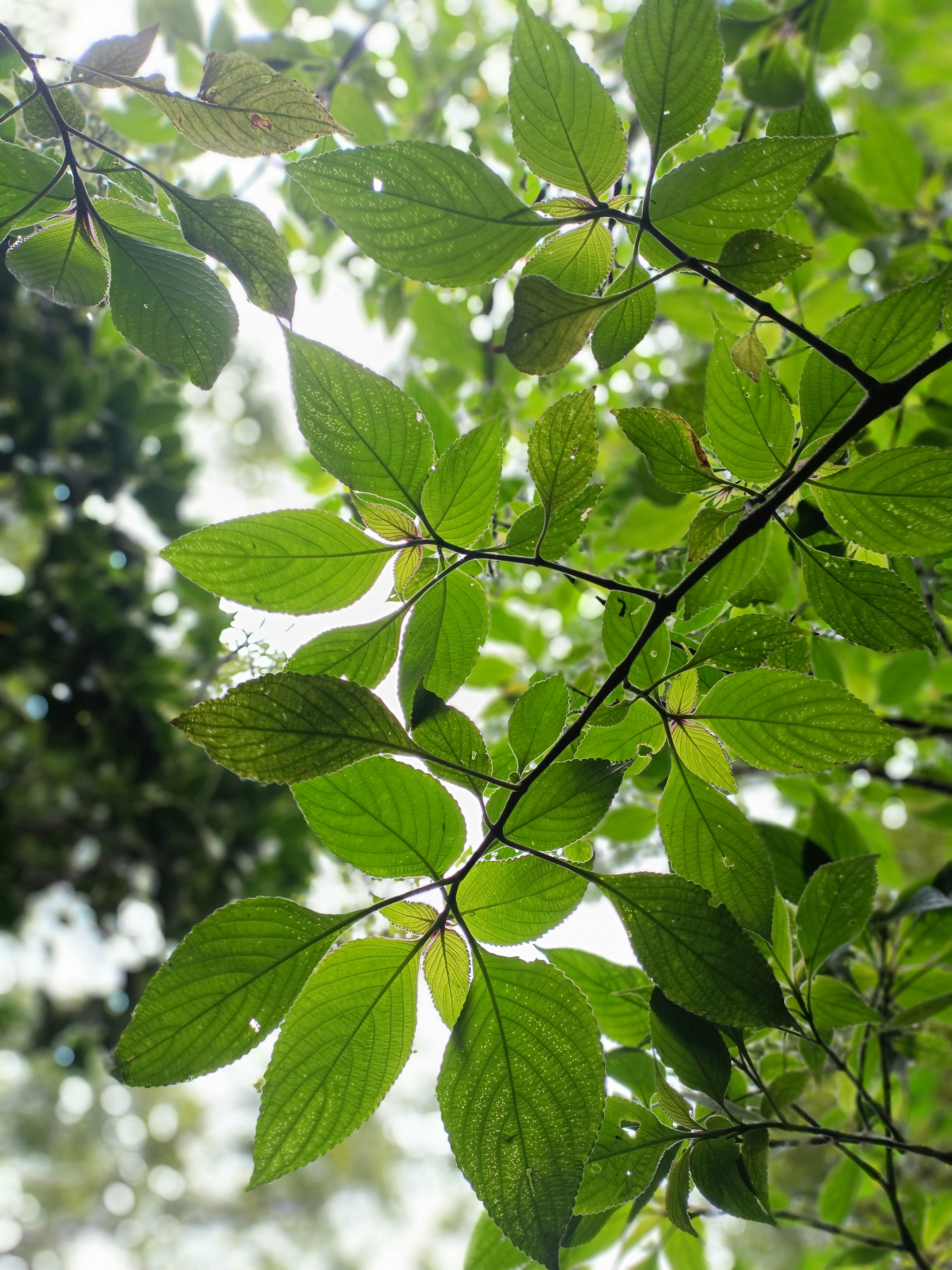 Photo by abhishekbakaya