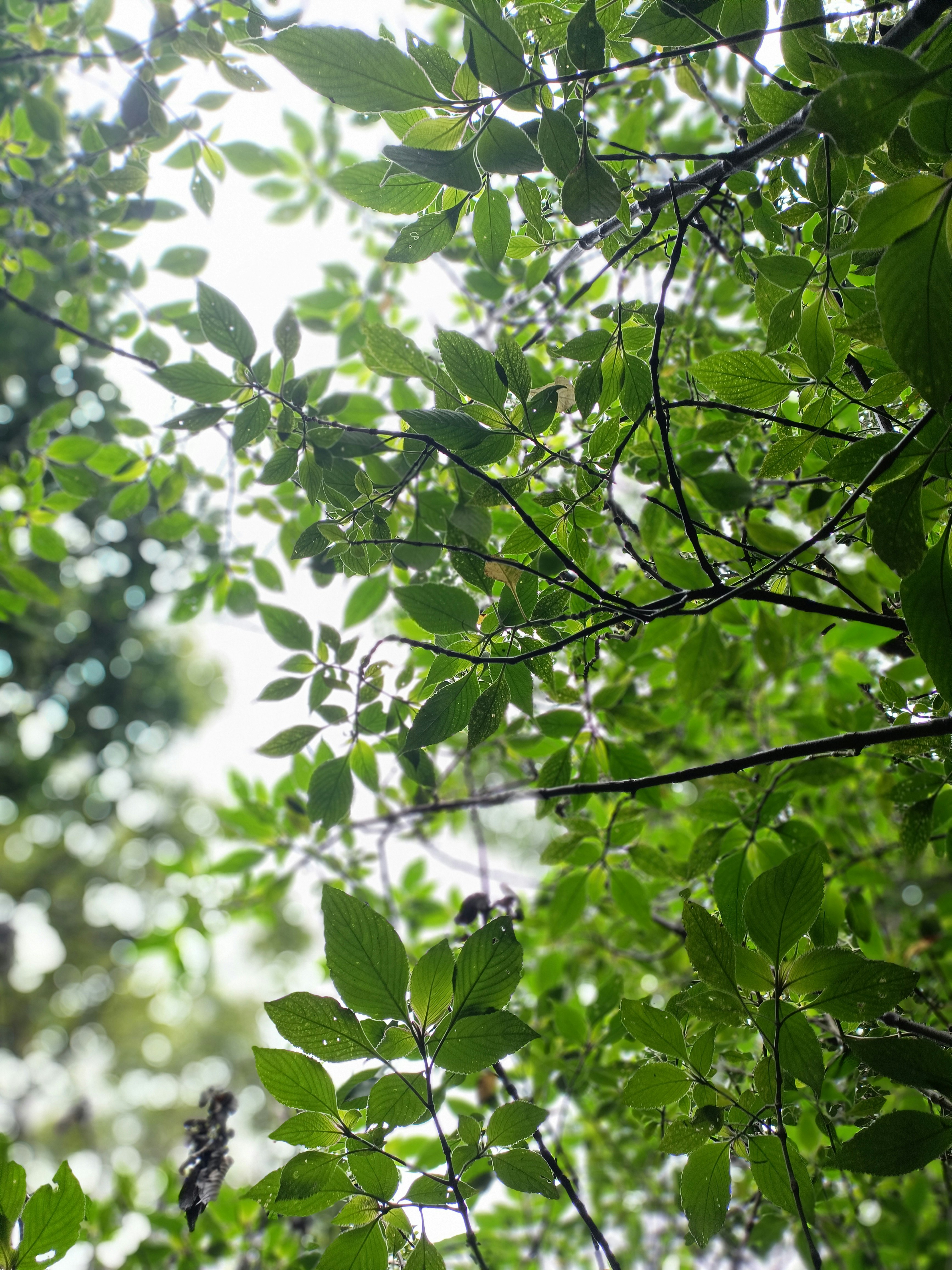 Photo by abhishekbakaya