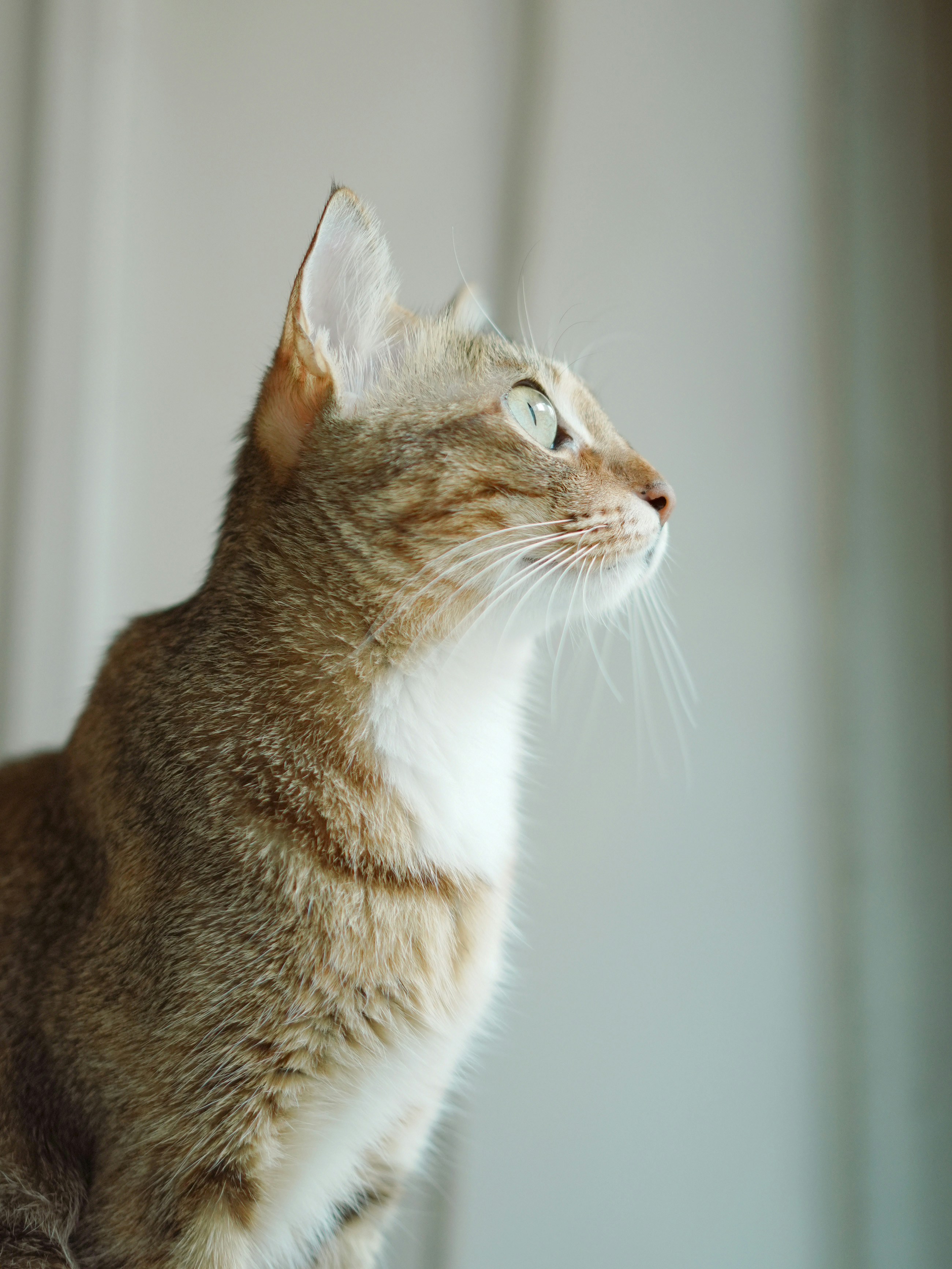 Photo by maxinehuluwa