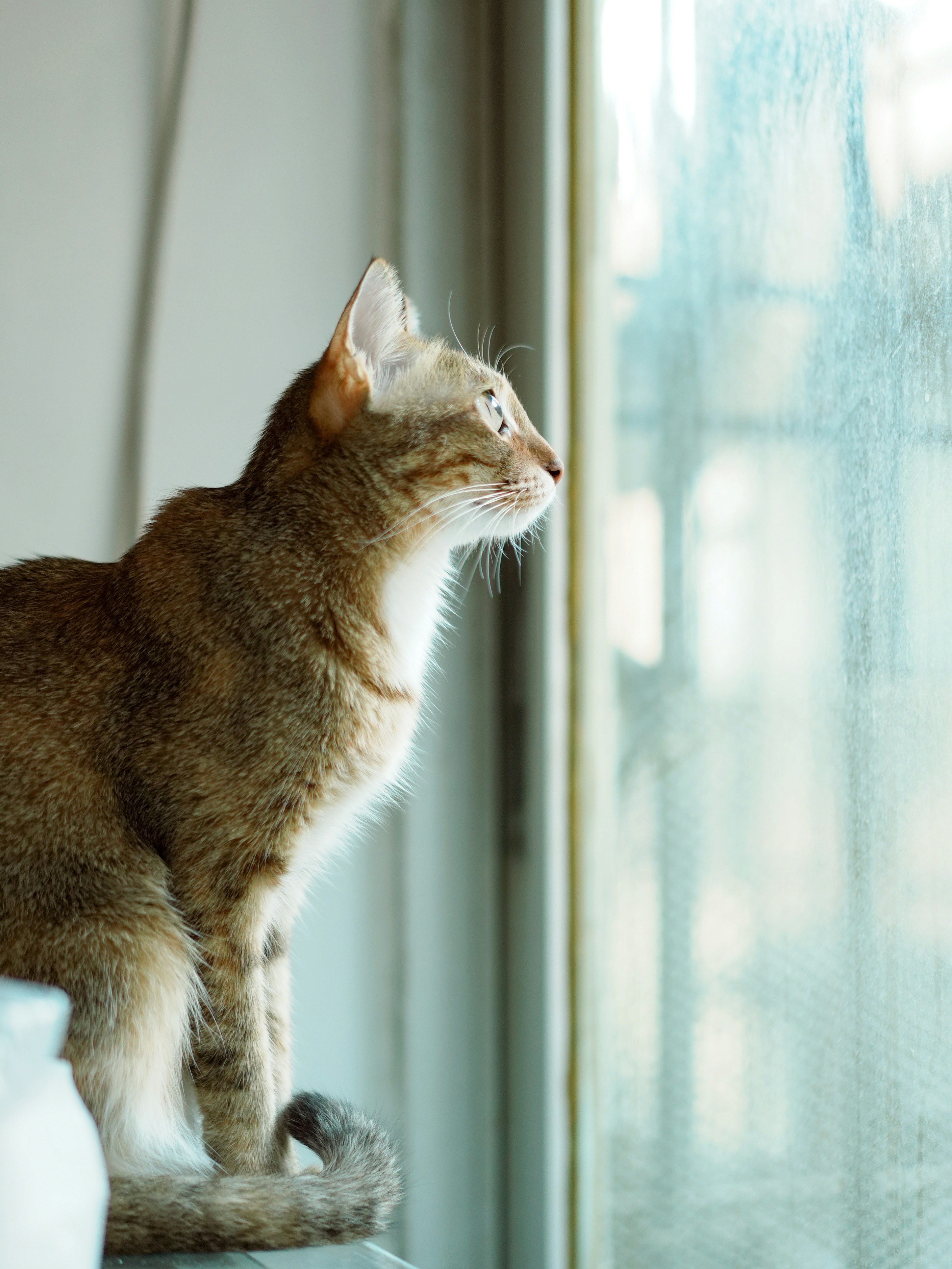 Photo by maxinehuluwa