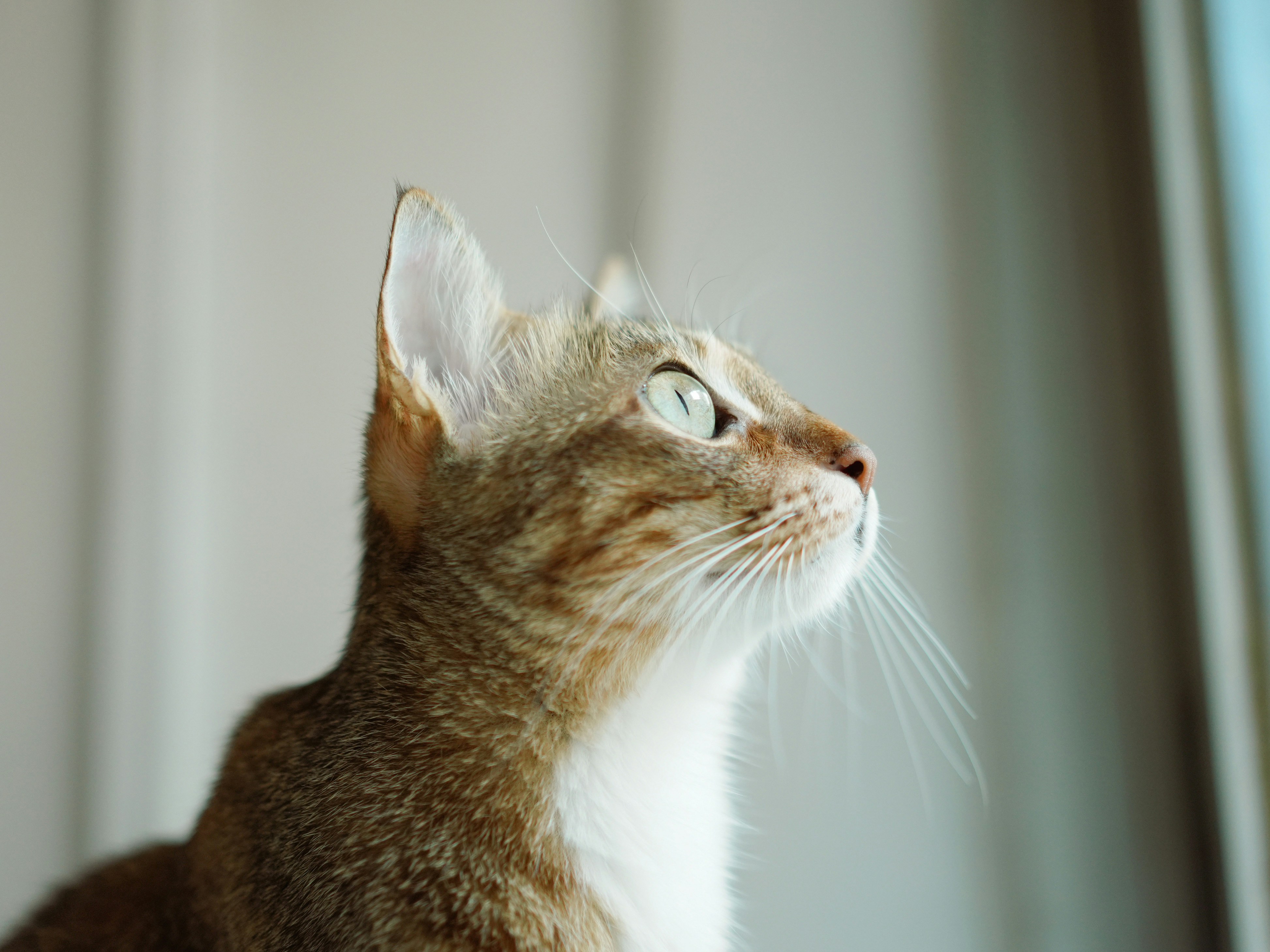 Photo by maxinehuluwa