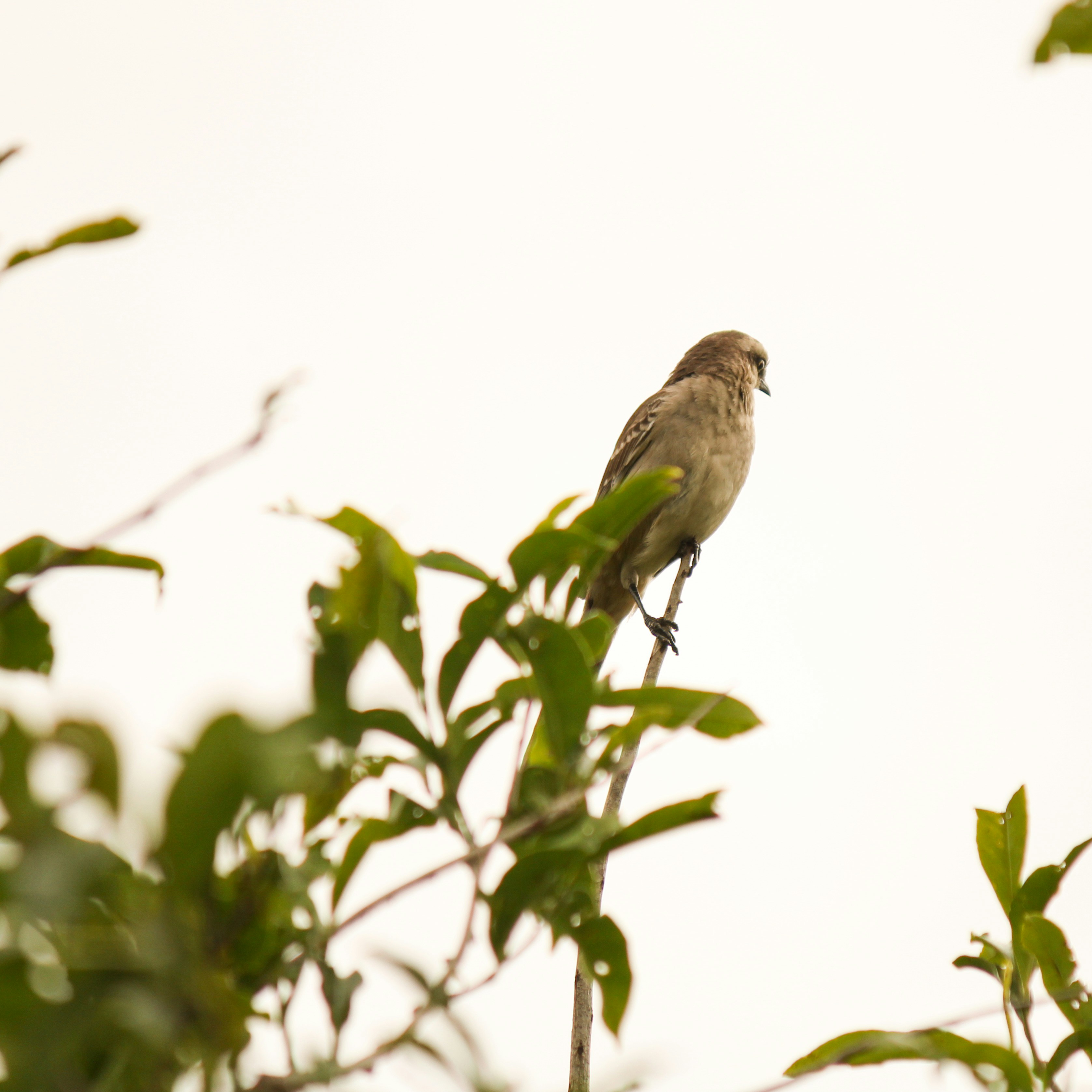 Photo by paulo_pescada